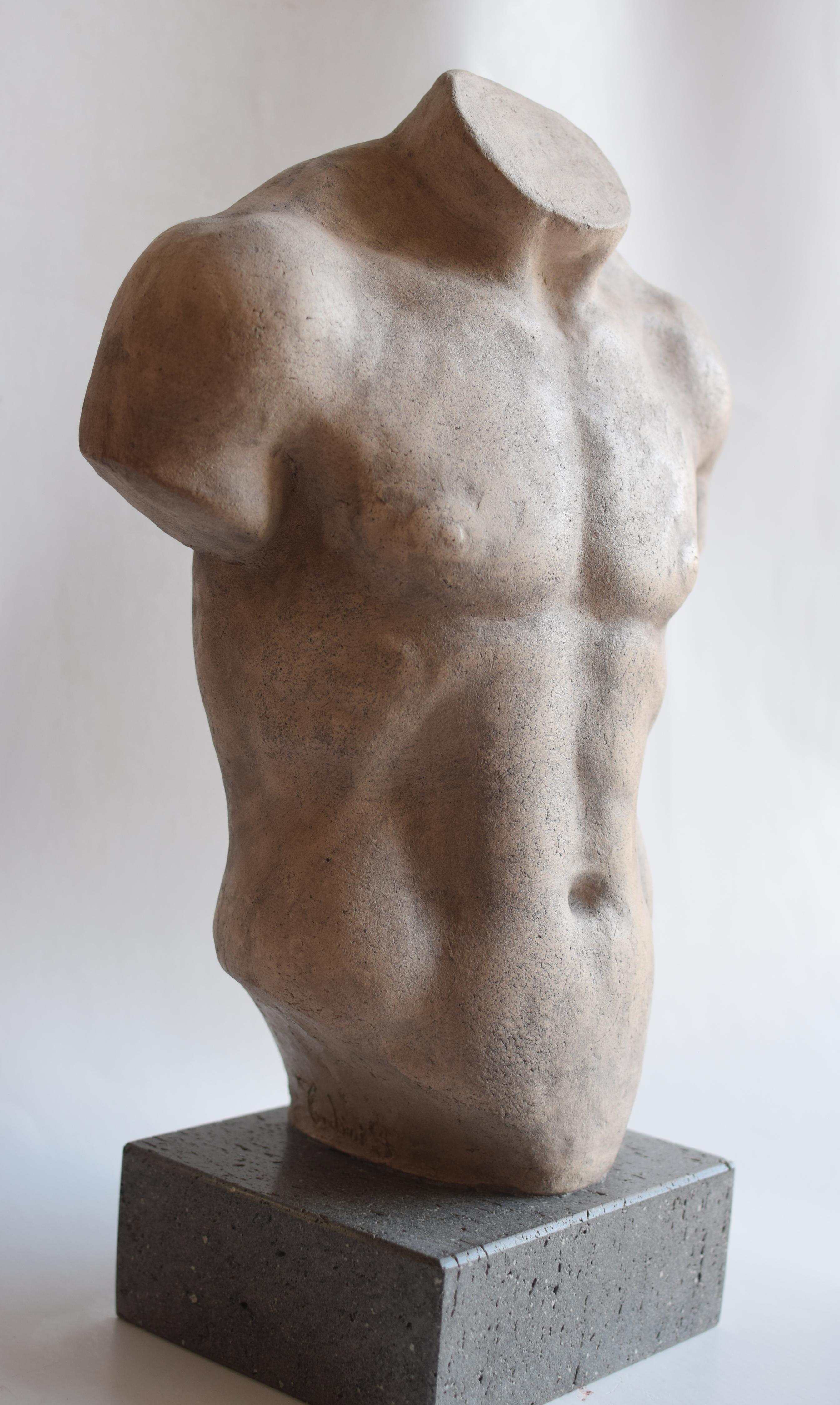 Torso maschile in ceramica chiara - Discoforo -made in Italy For Sale 2