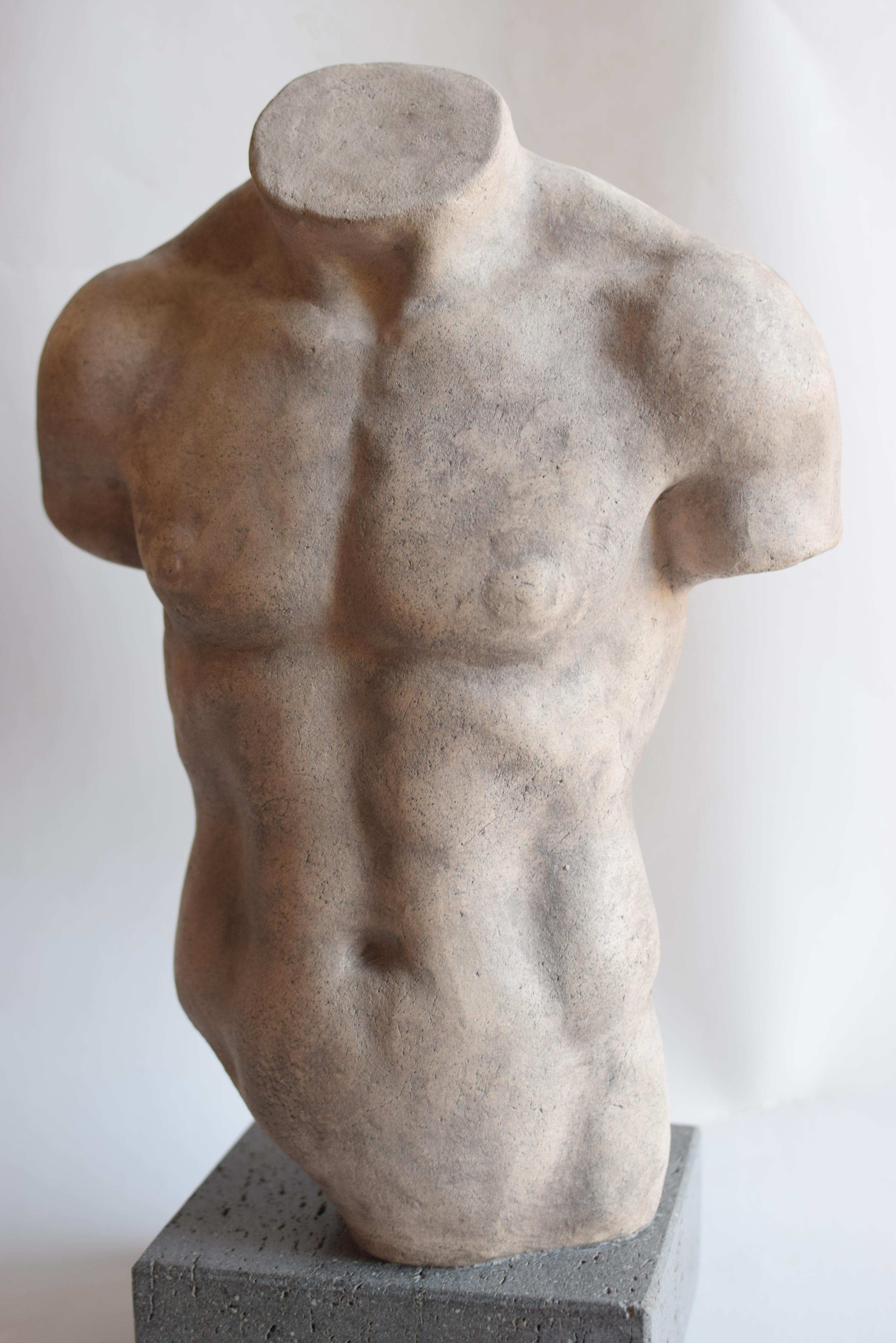 Late 20th Century Torso maschile in ceramica chiara - Discoforo -made in Italy For Sale