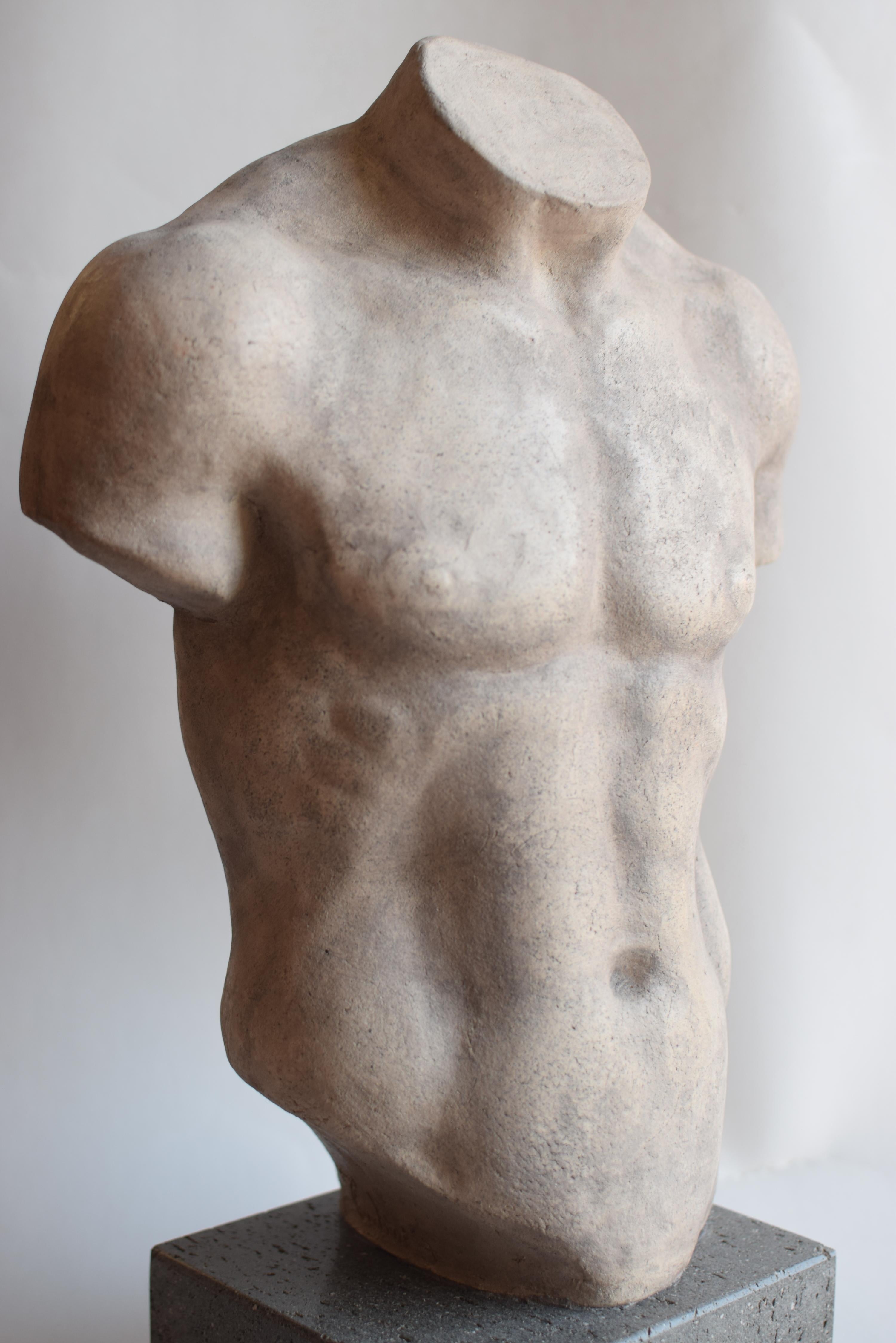 Marble Torso maschile in ceramica chiara - Discoforo -made in Italy For Sale