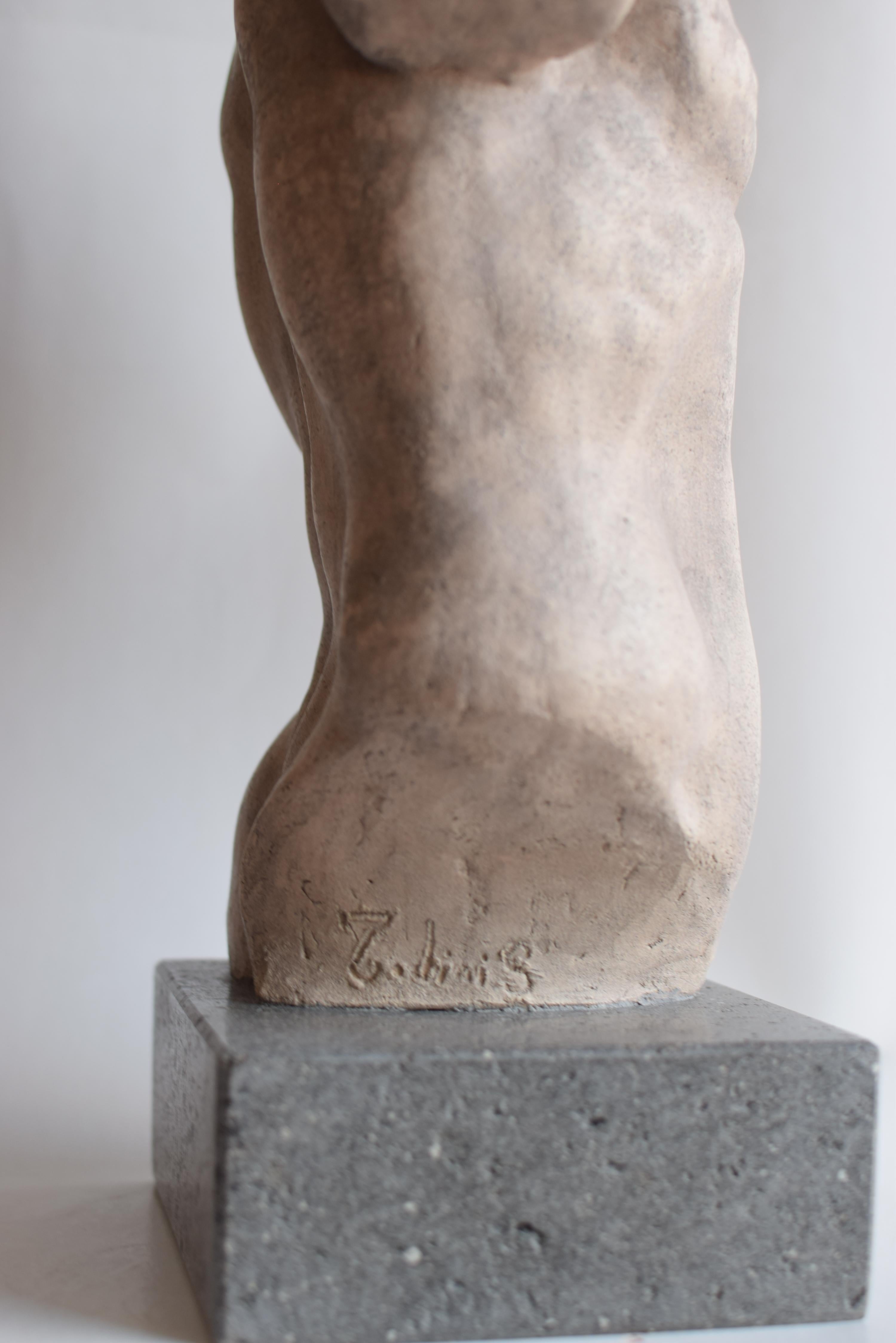 Torso maschile in ceramica chiara - Discoforo -made in Italy For Sale 1