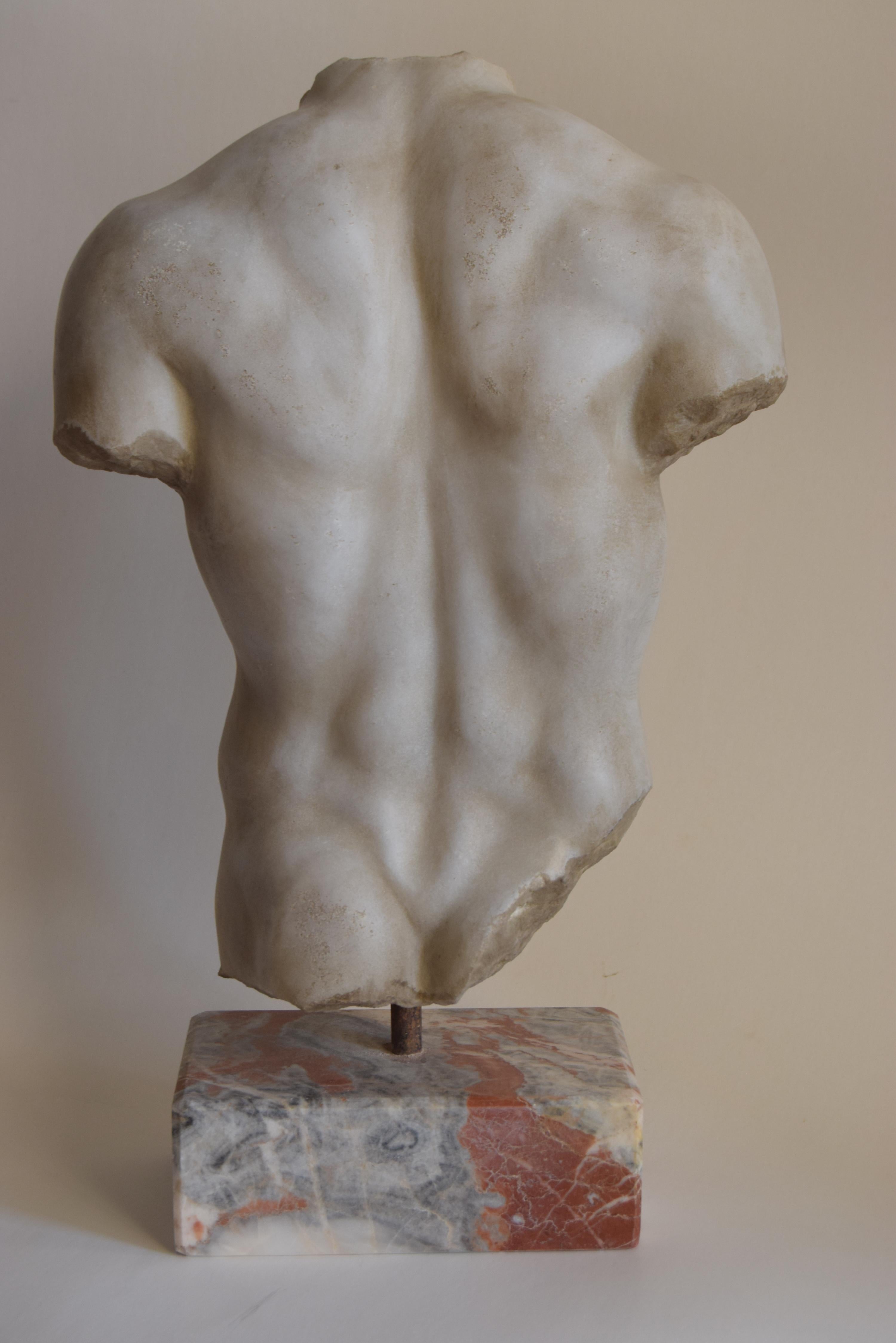 European Torso maschile in marmo bianco di Carrara - Discoforo For Sale