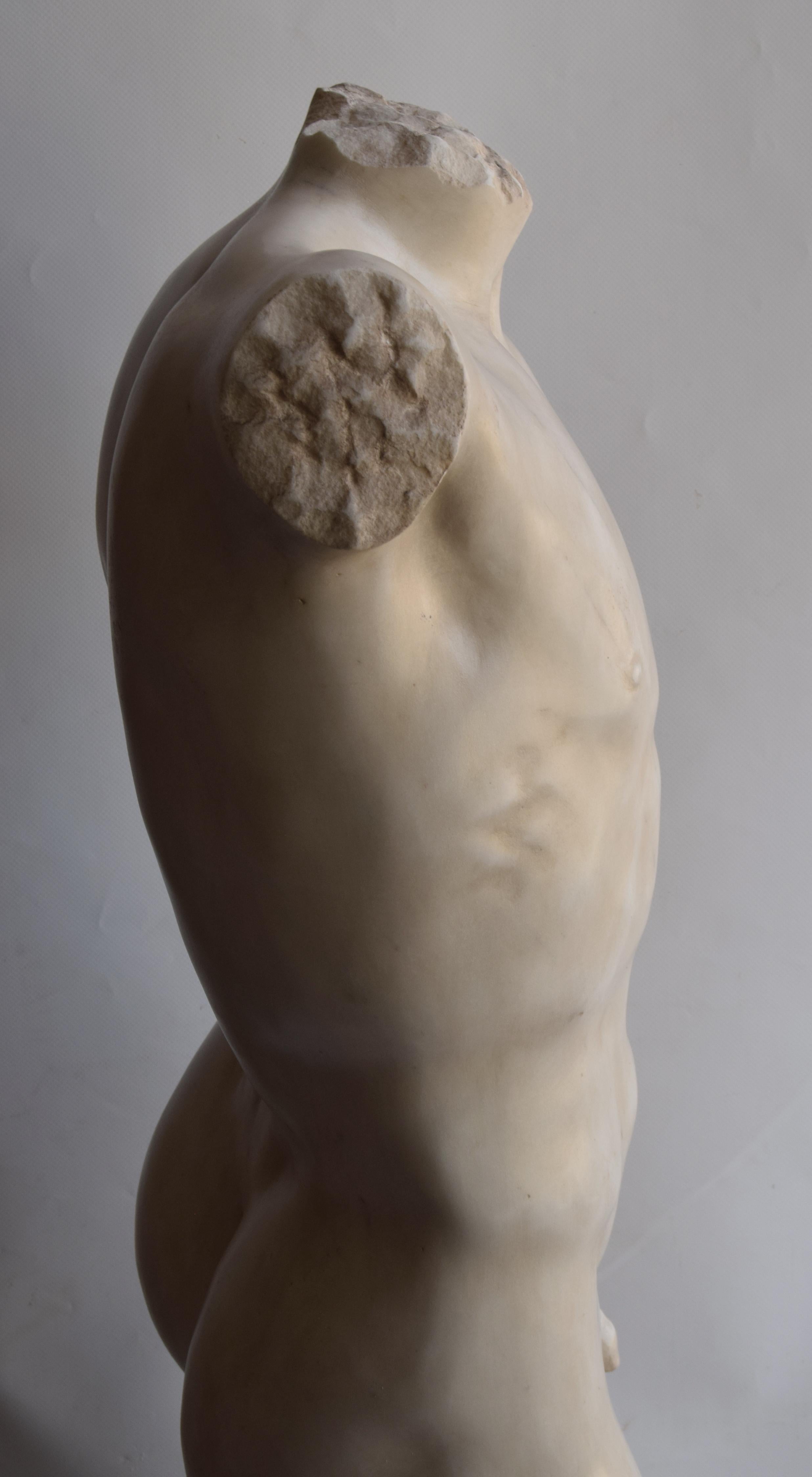 20th Century Torso maschile in stile Grecia classica scolpito su marmo bianco di Carrara en vente