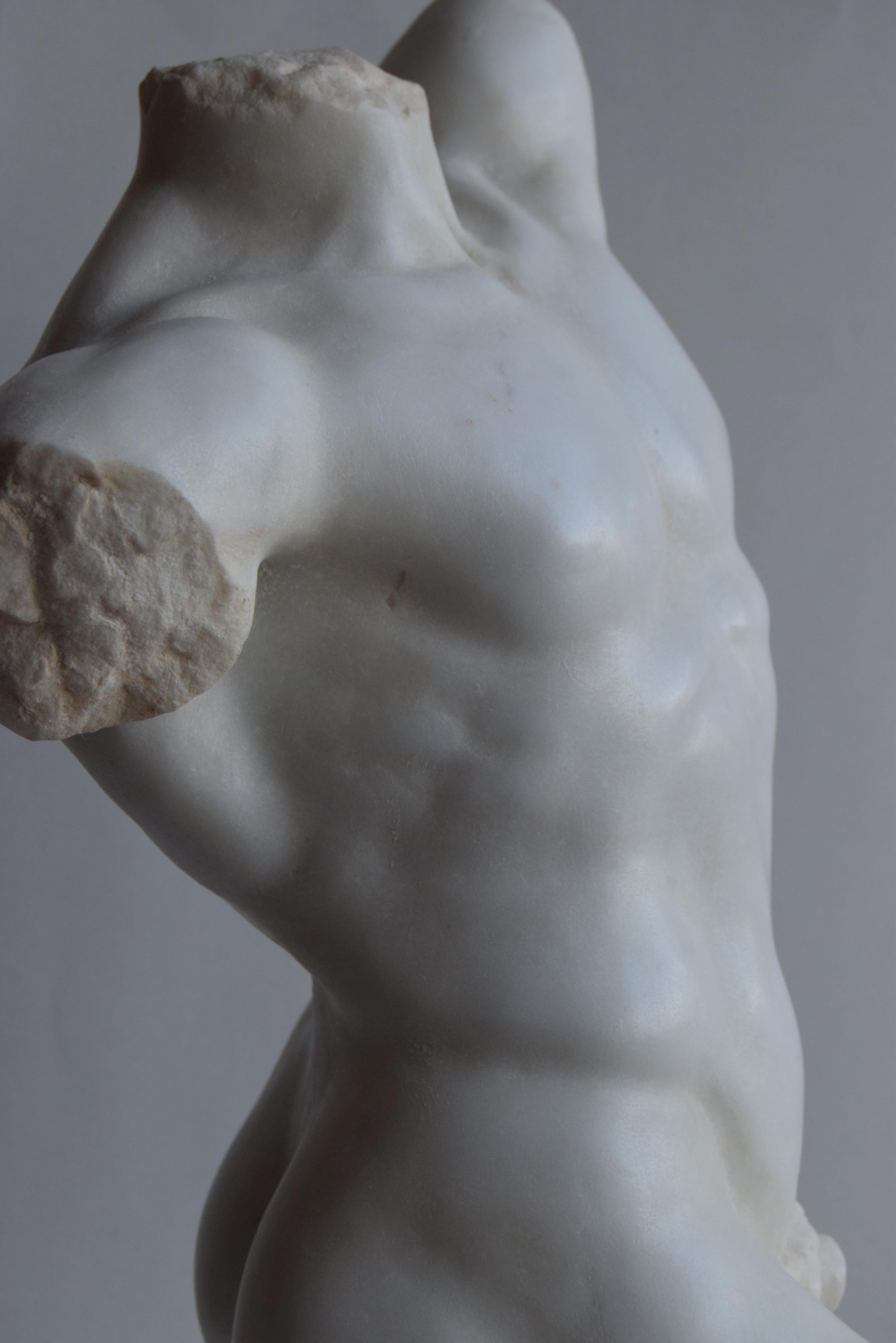 Torso maschile inspiriert vom „Fauno di Pompei“ aus Marmo Bianco di Carrara (Marmor) im Angebot