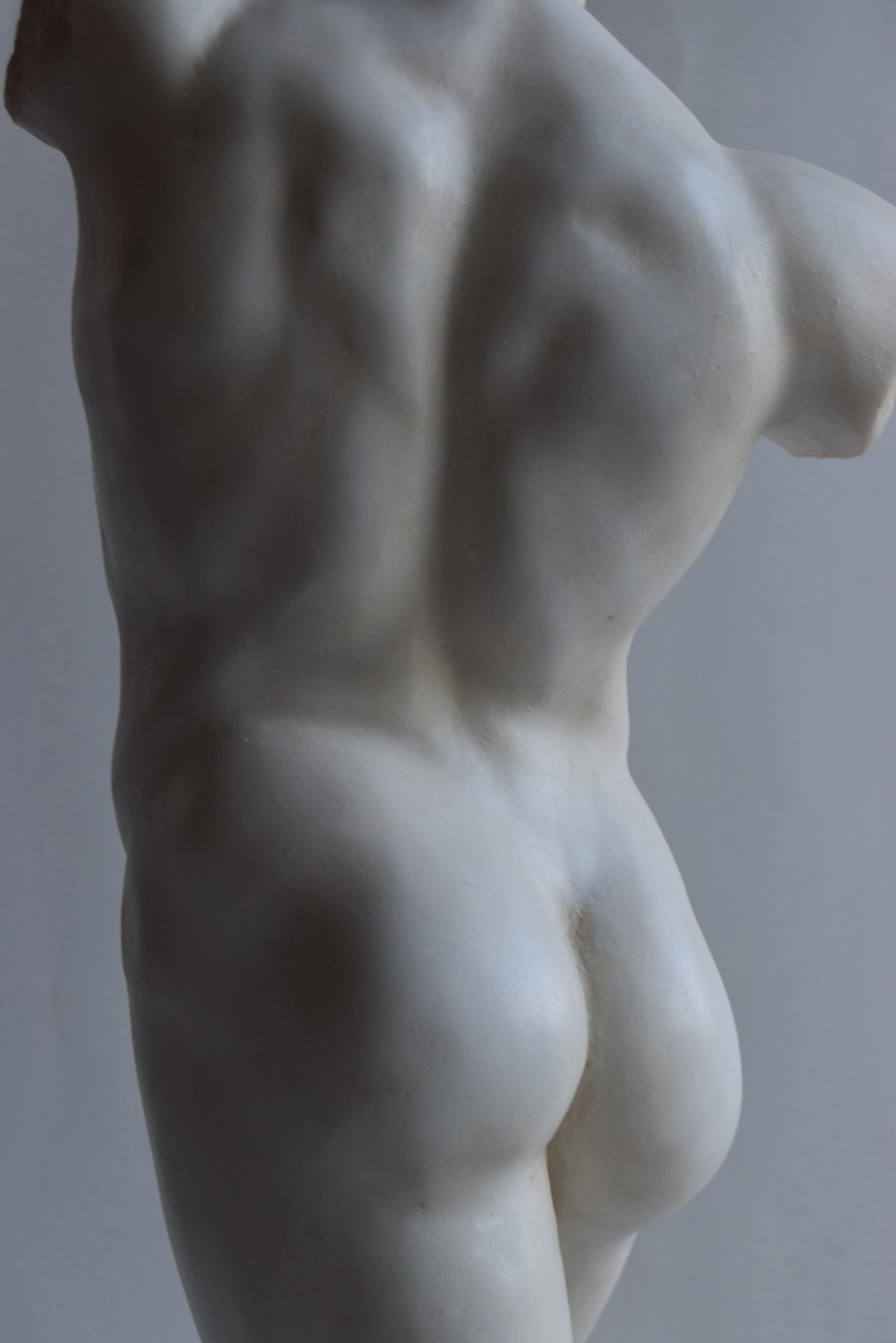 Torso maschile inspiriert vom „Fauno di Pompei“ aus Marmo Bianco di Carrara im Angebot 1