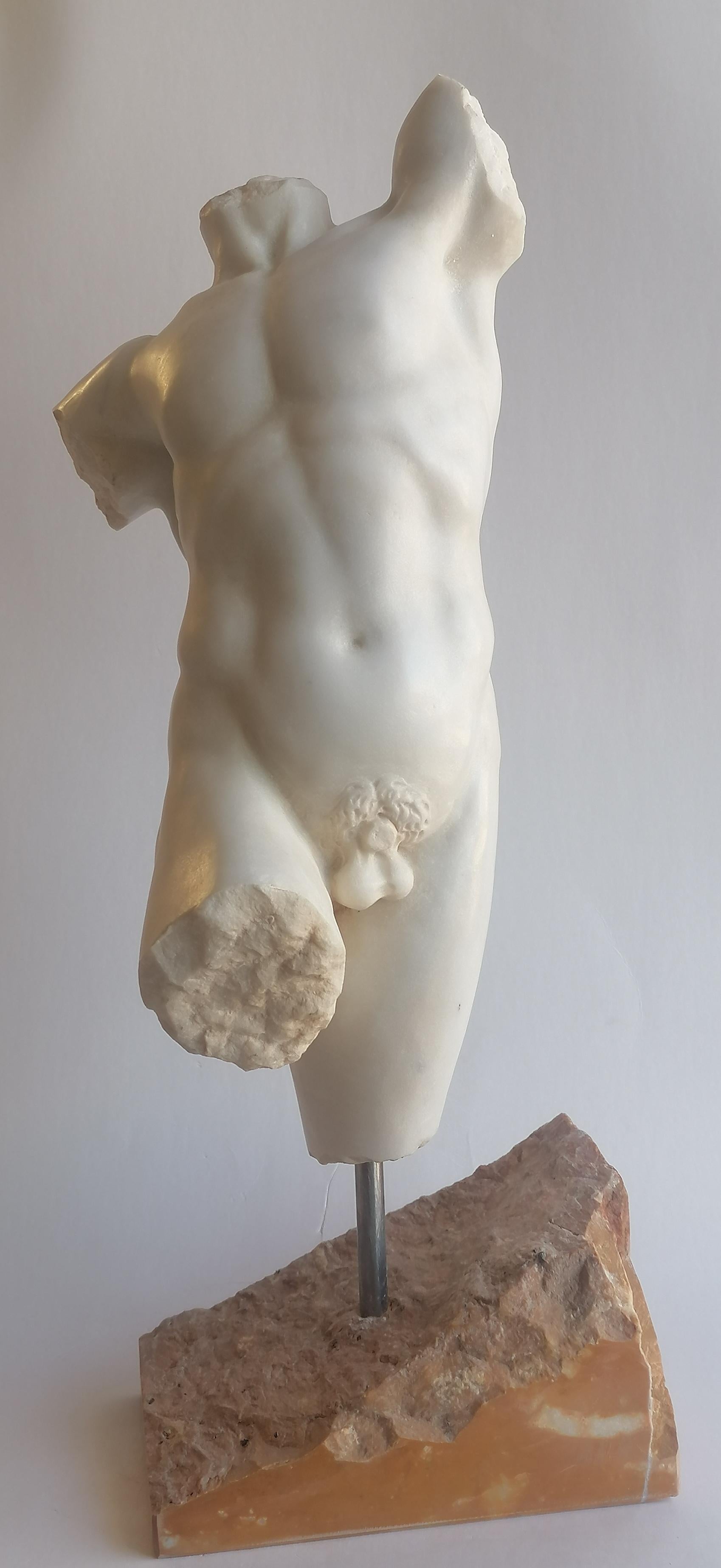 Torso maschile ispirato al 