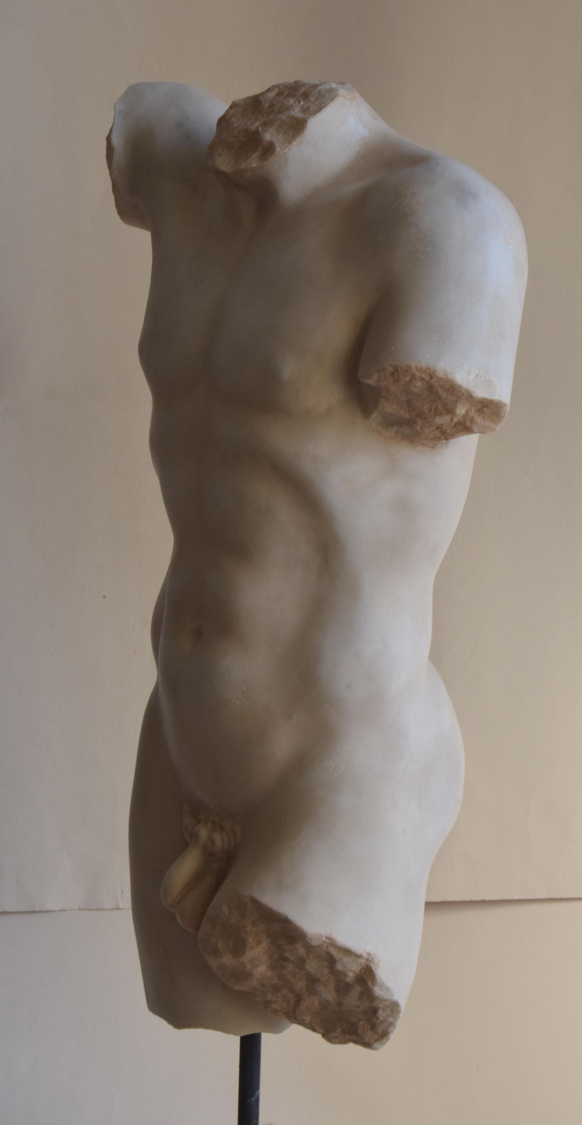 Hand-Crafted Classic style male torso -white Carrara marble -Made in Italy For Sale