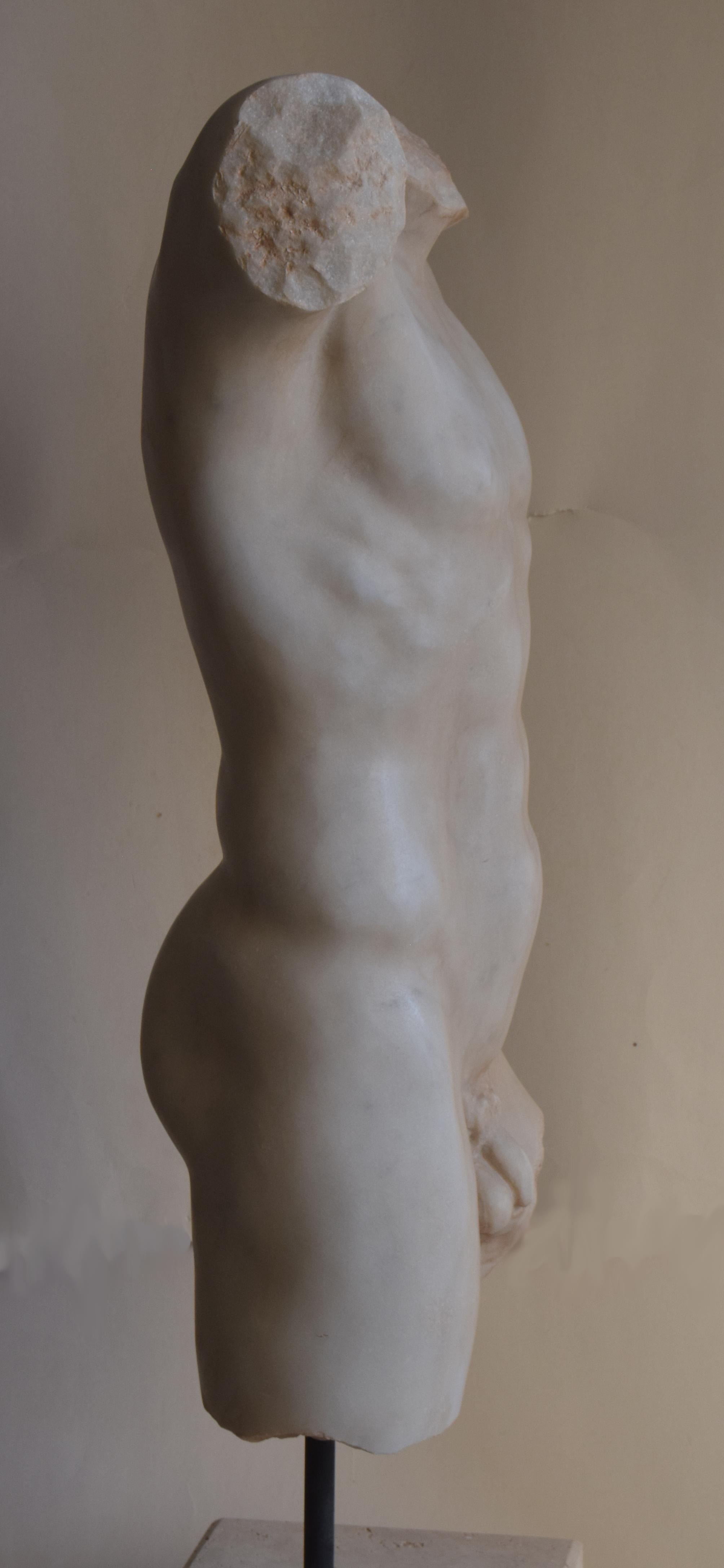 Classic style male torso -white Carrara marble -Made in Italy In Good Condition For Sale In Tarquinia, IT