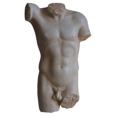 Classic style male torso -white Carrara marble -Made in Italy