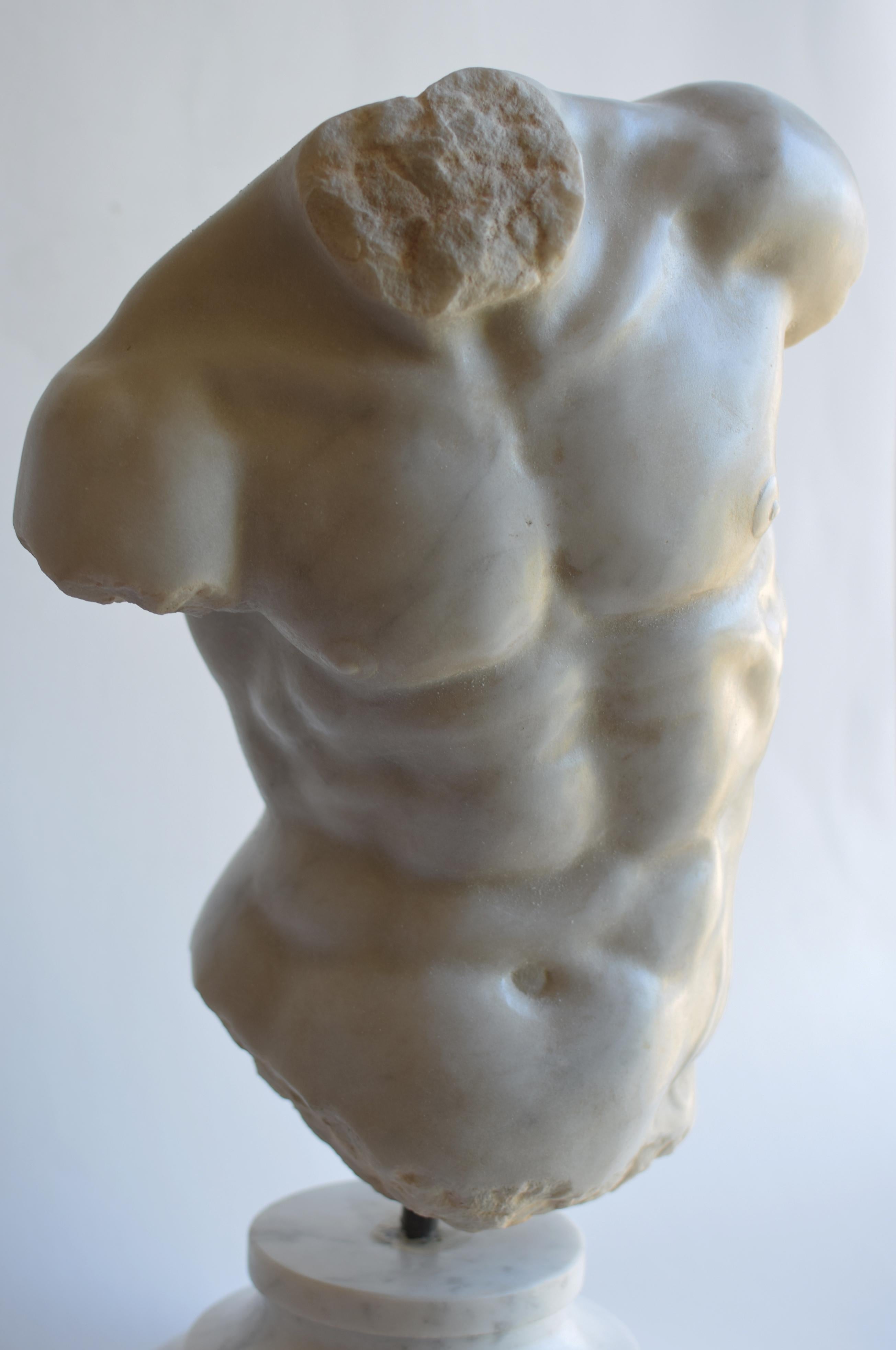 Greco Roman Male torso - 