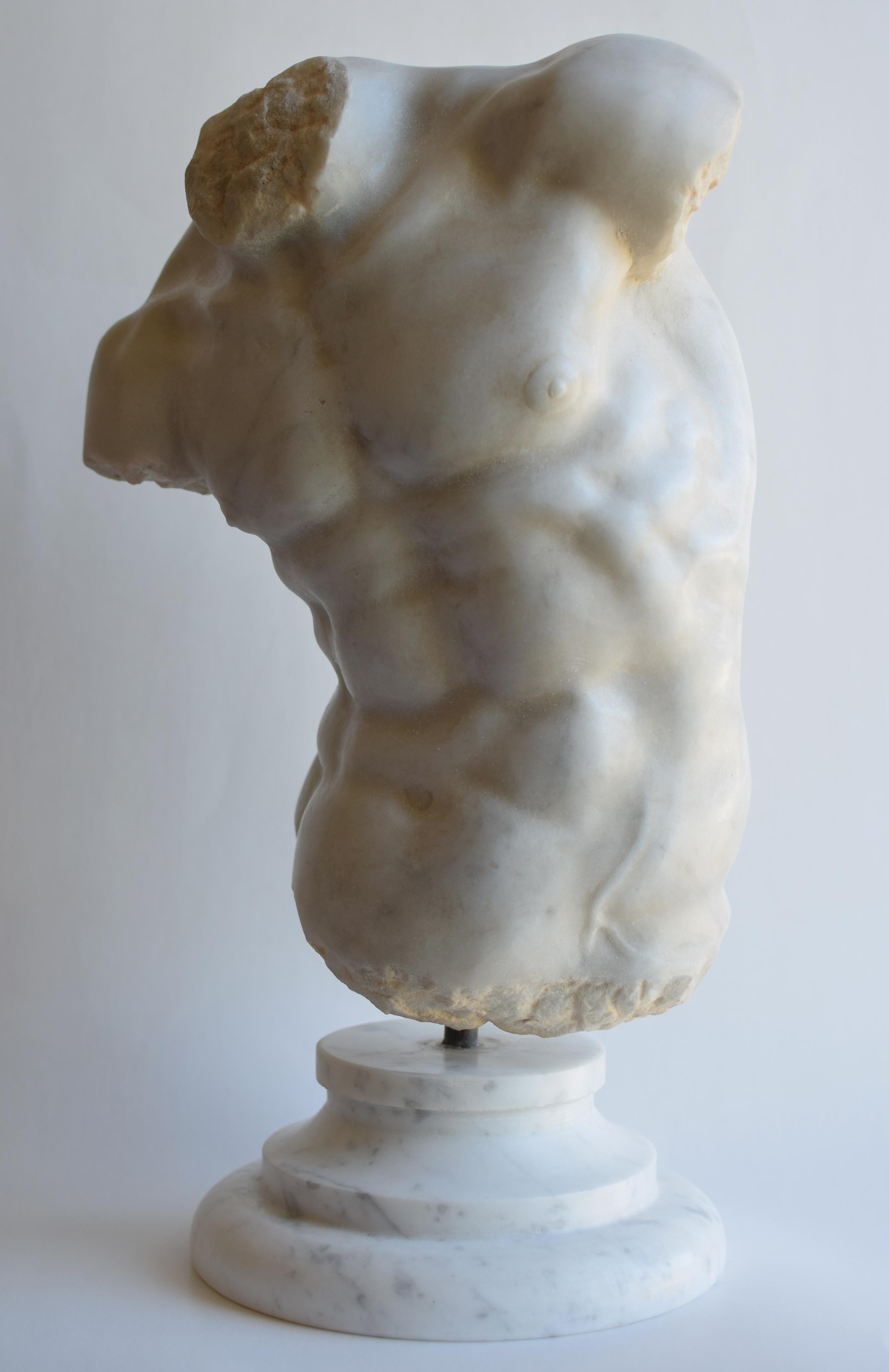 Italian Male torso - 