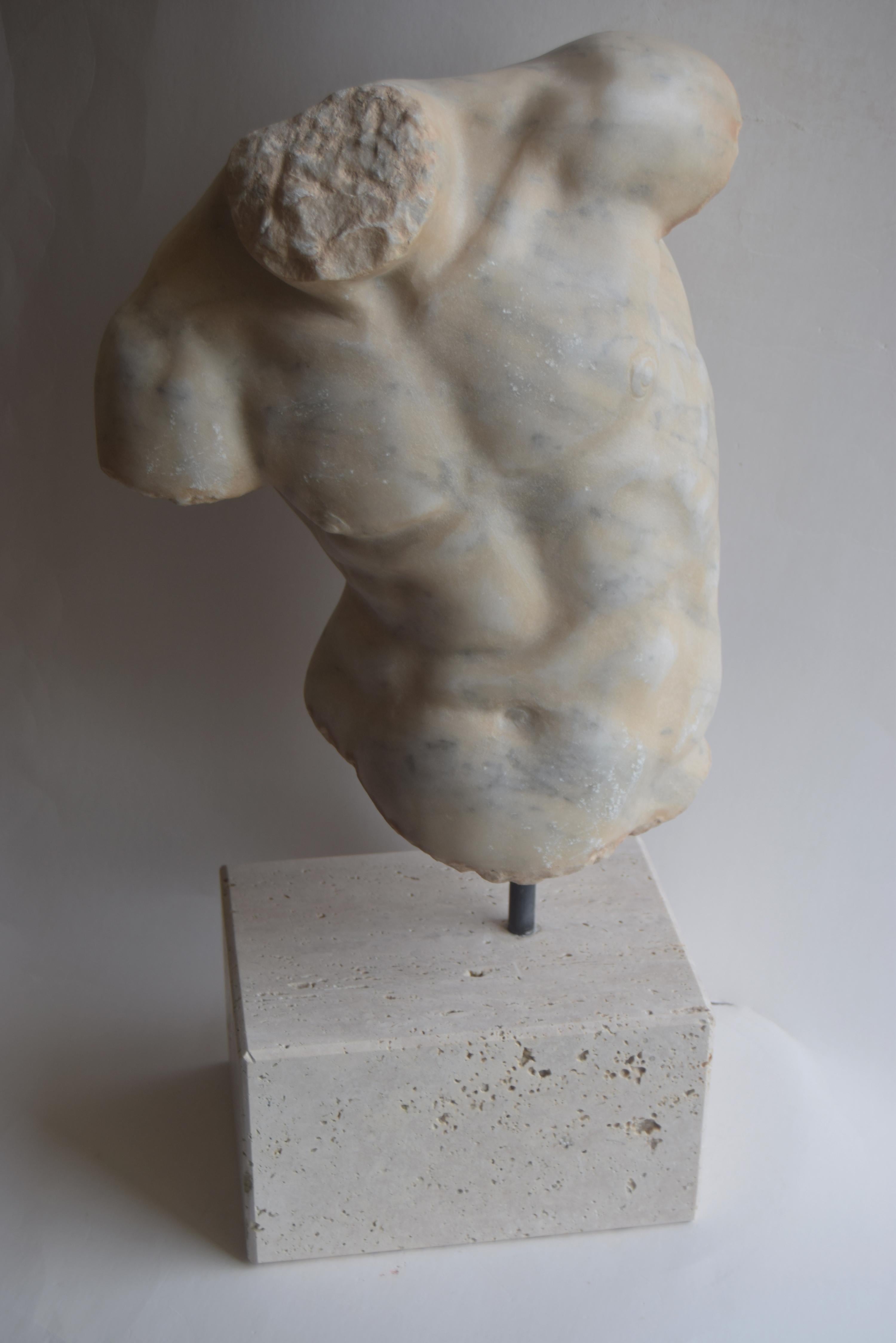 Male torso 