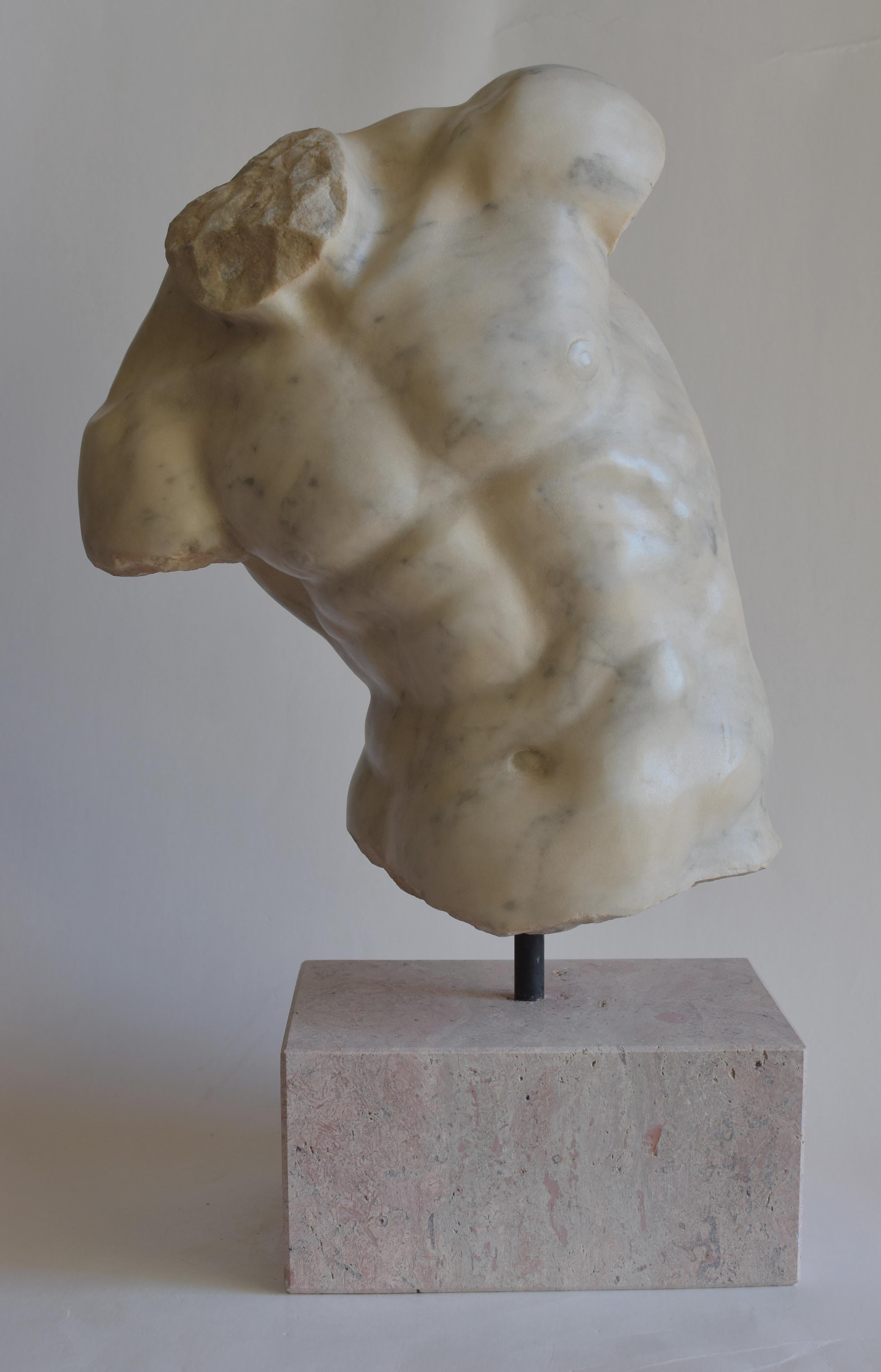 Classical Roman Torso maschile 