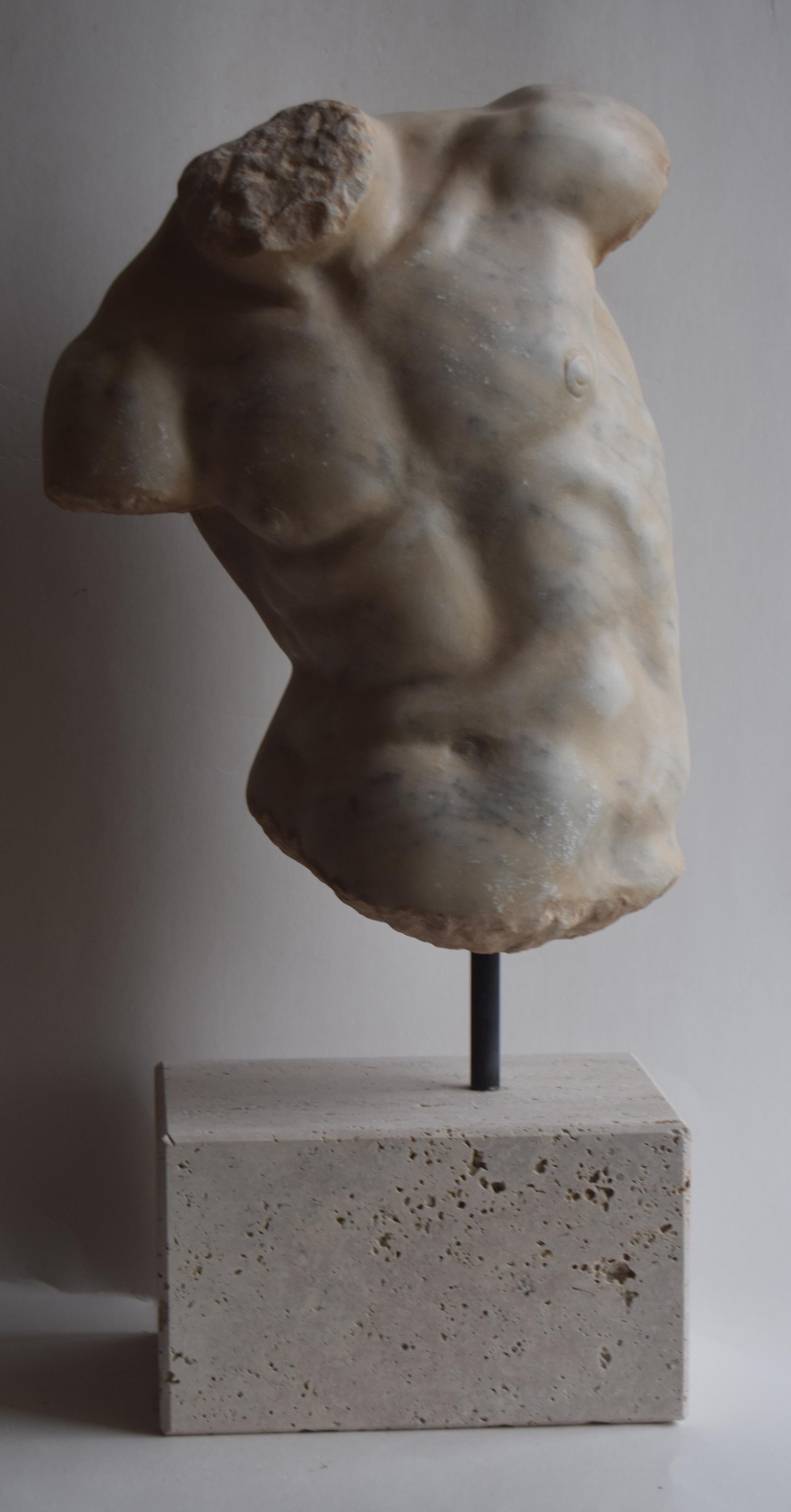 Sculpture, Male torso, classical art, Greek art, Torso, white Carrara marble, classical sculpture, ancient torso, Gaddi torso
Sculpted male torso on  white marble from carrara, original model inspired by the Gaddi Torso found in the uffizi in