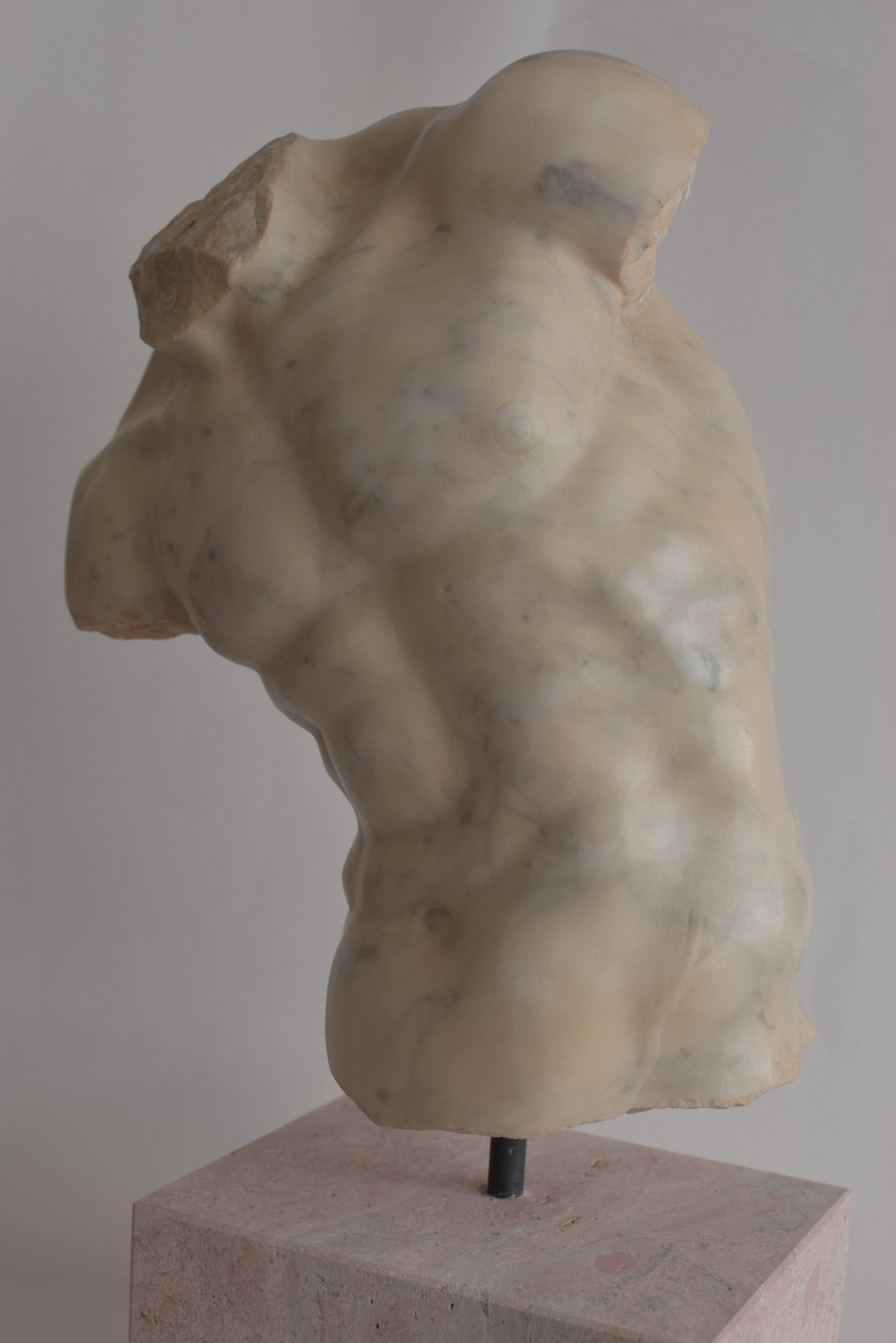 Italian Torso maschile 