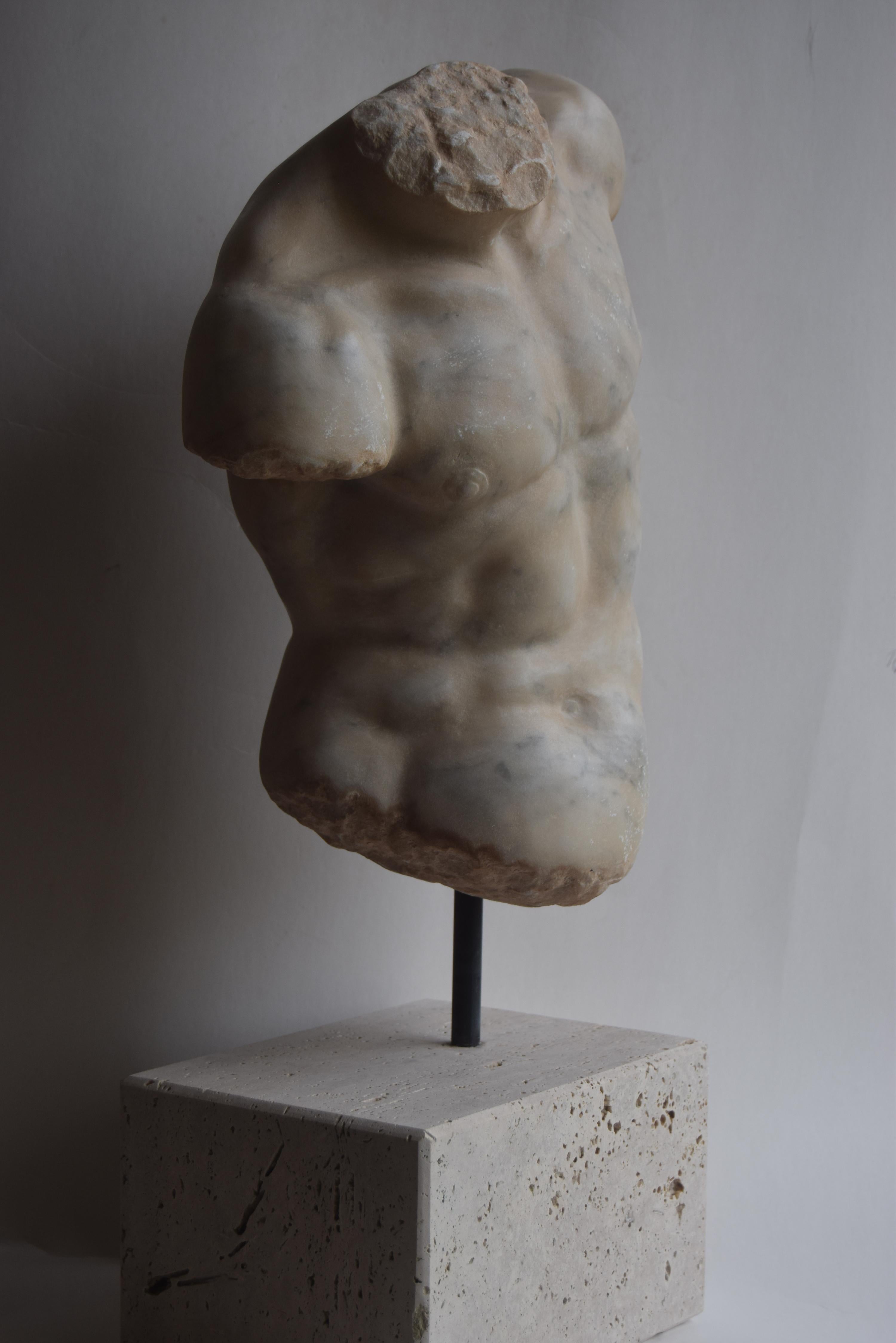 Greco Roman Male torso 