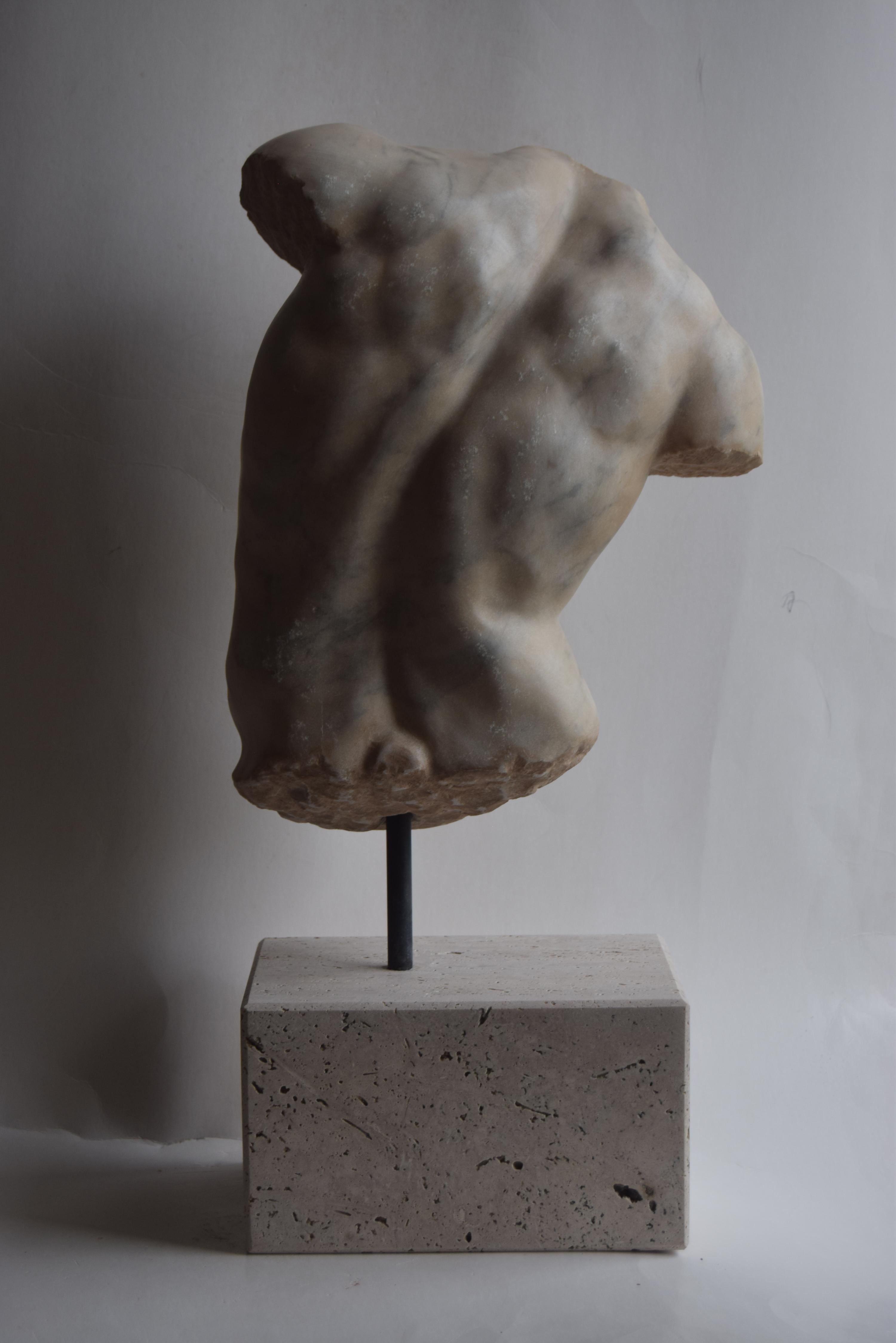Italian Male torso 