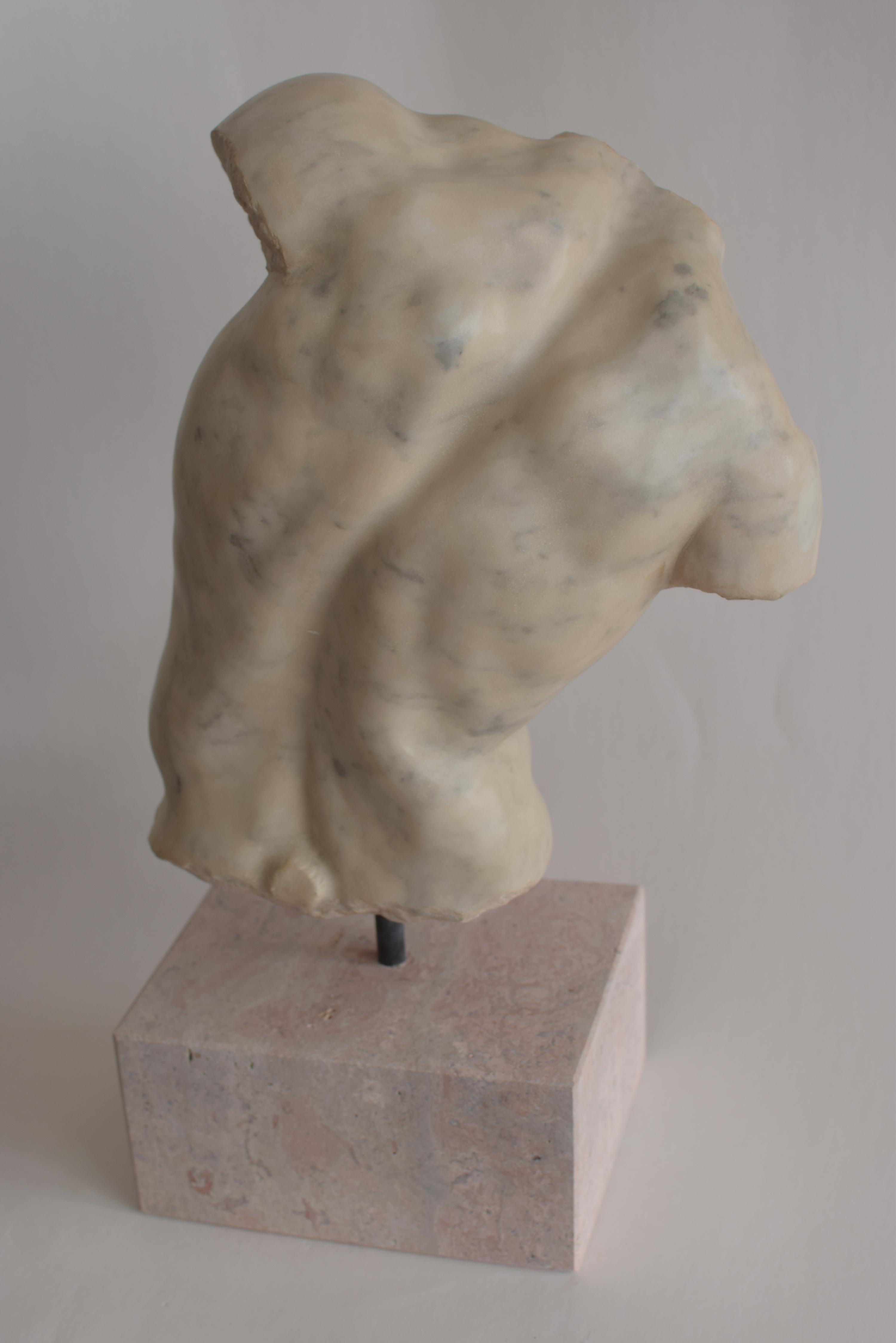 Torso maschile 
