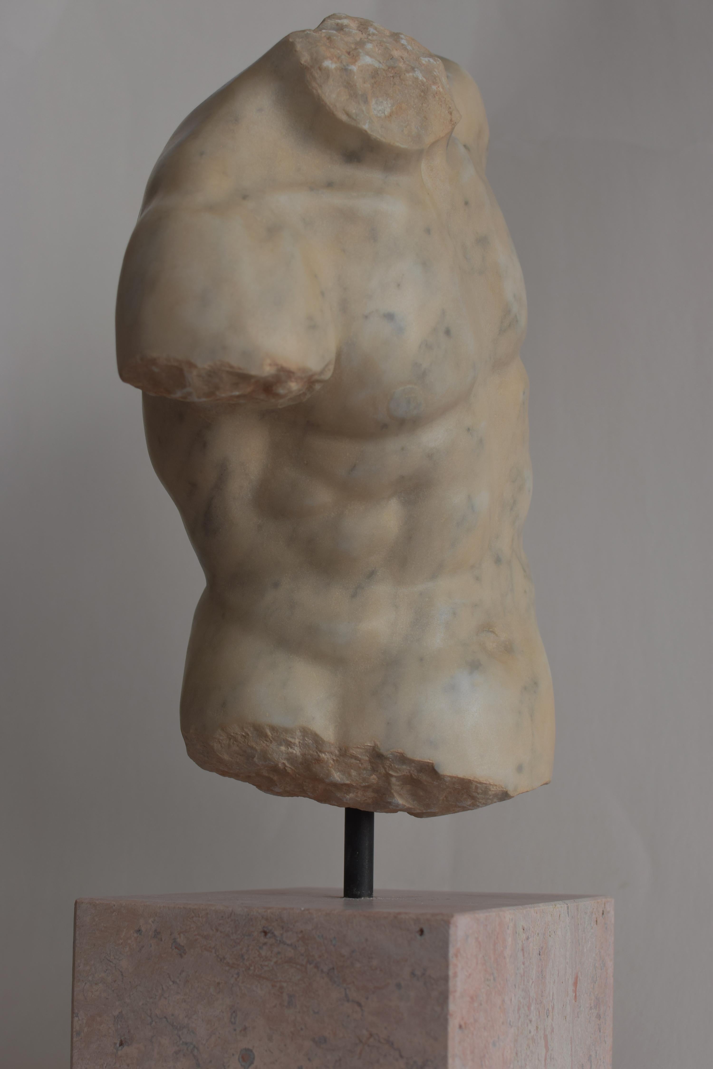 Contemporary Torso maschile 