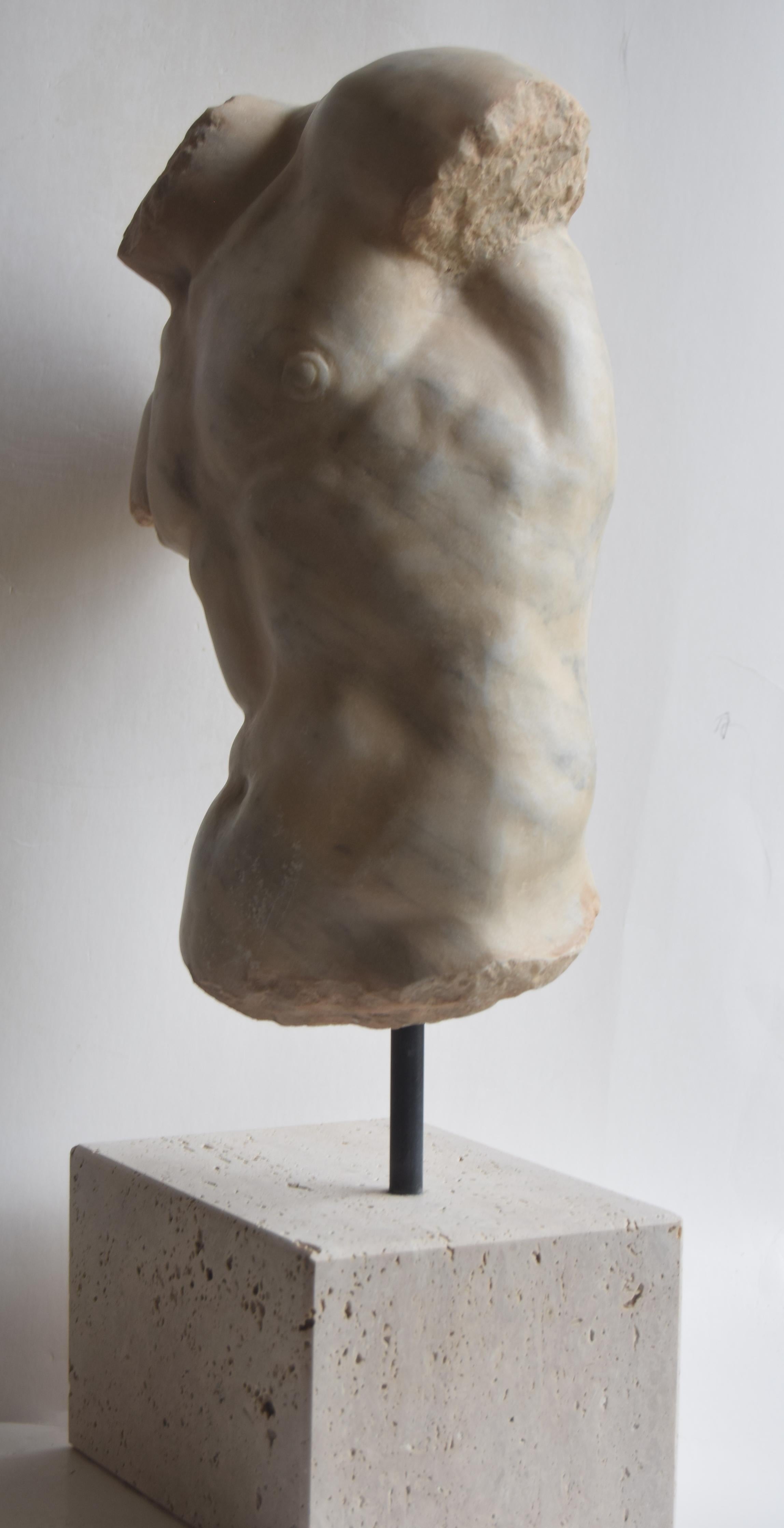 Male torso 