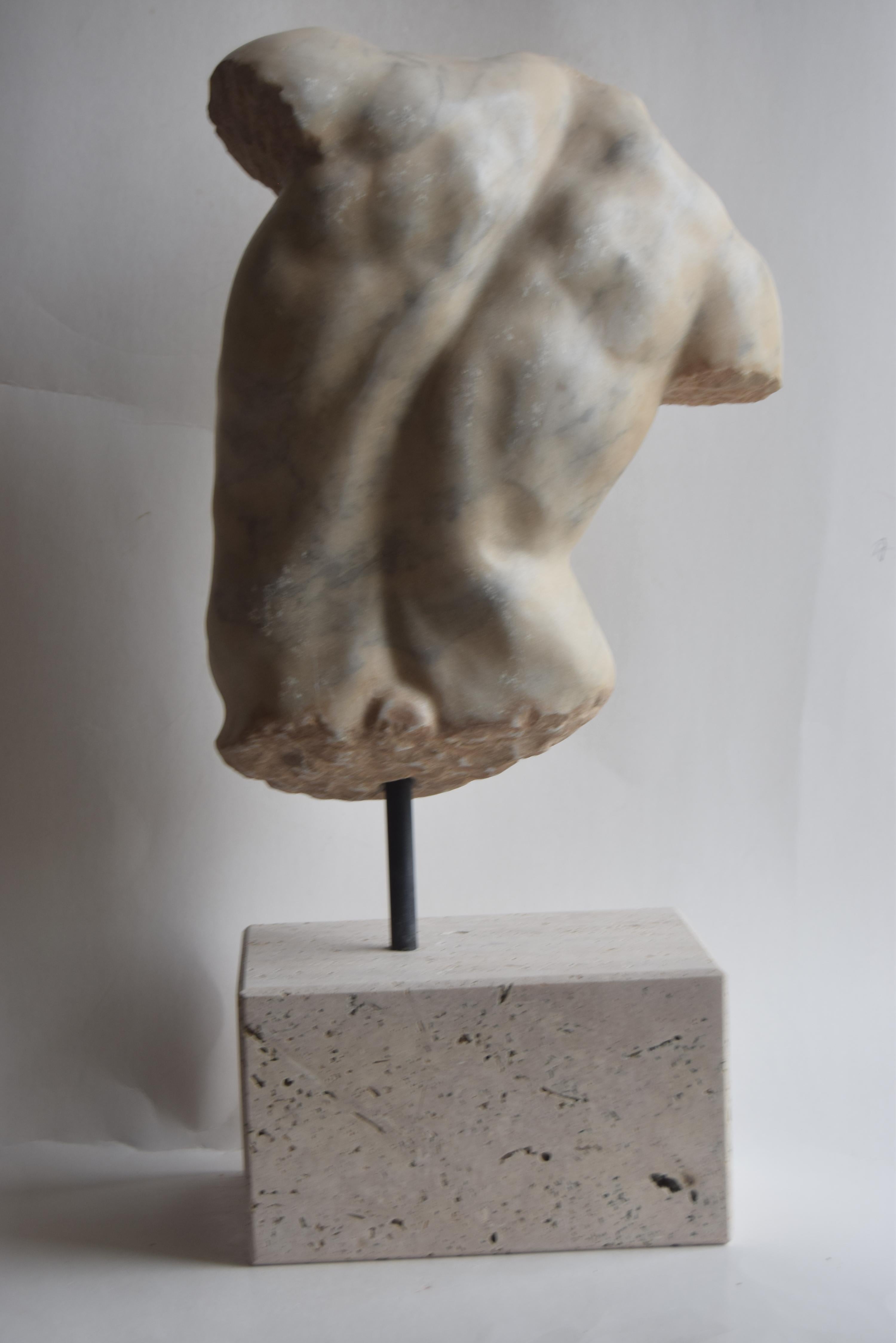 Carrara Marble Male torso 
