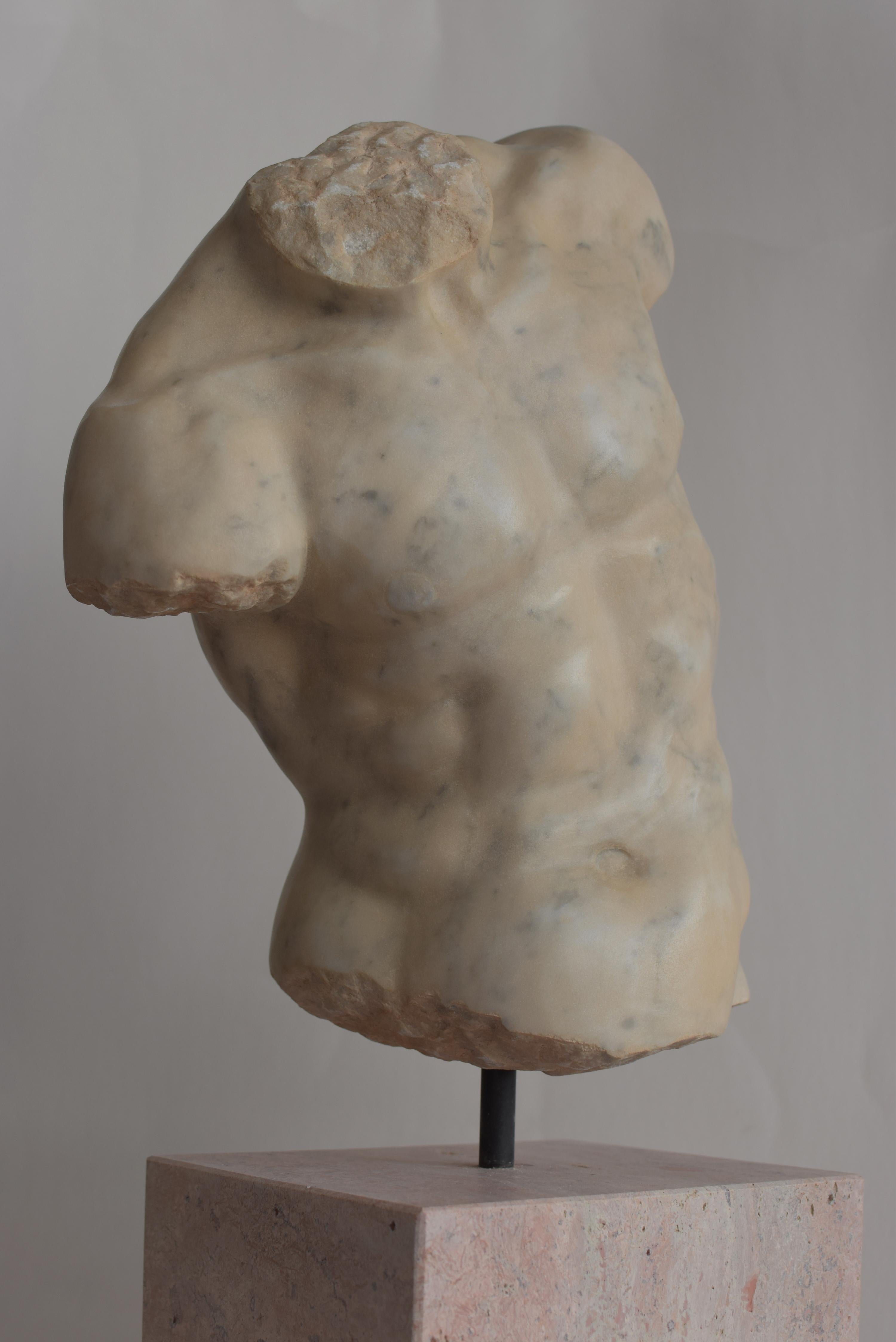 Marble Torso maschile 