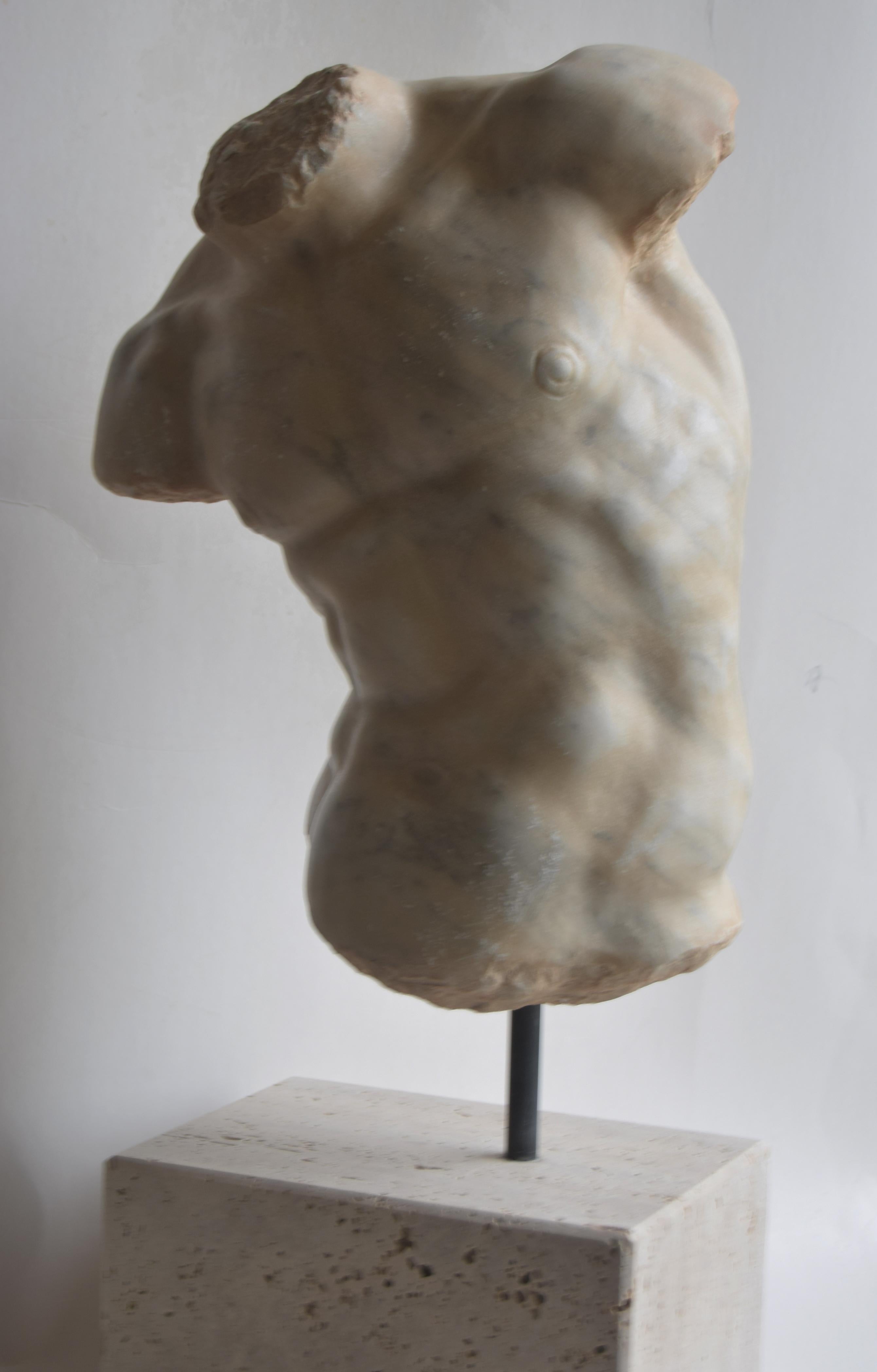 Contemporary Male torso 