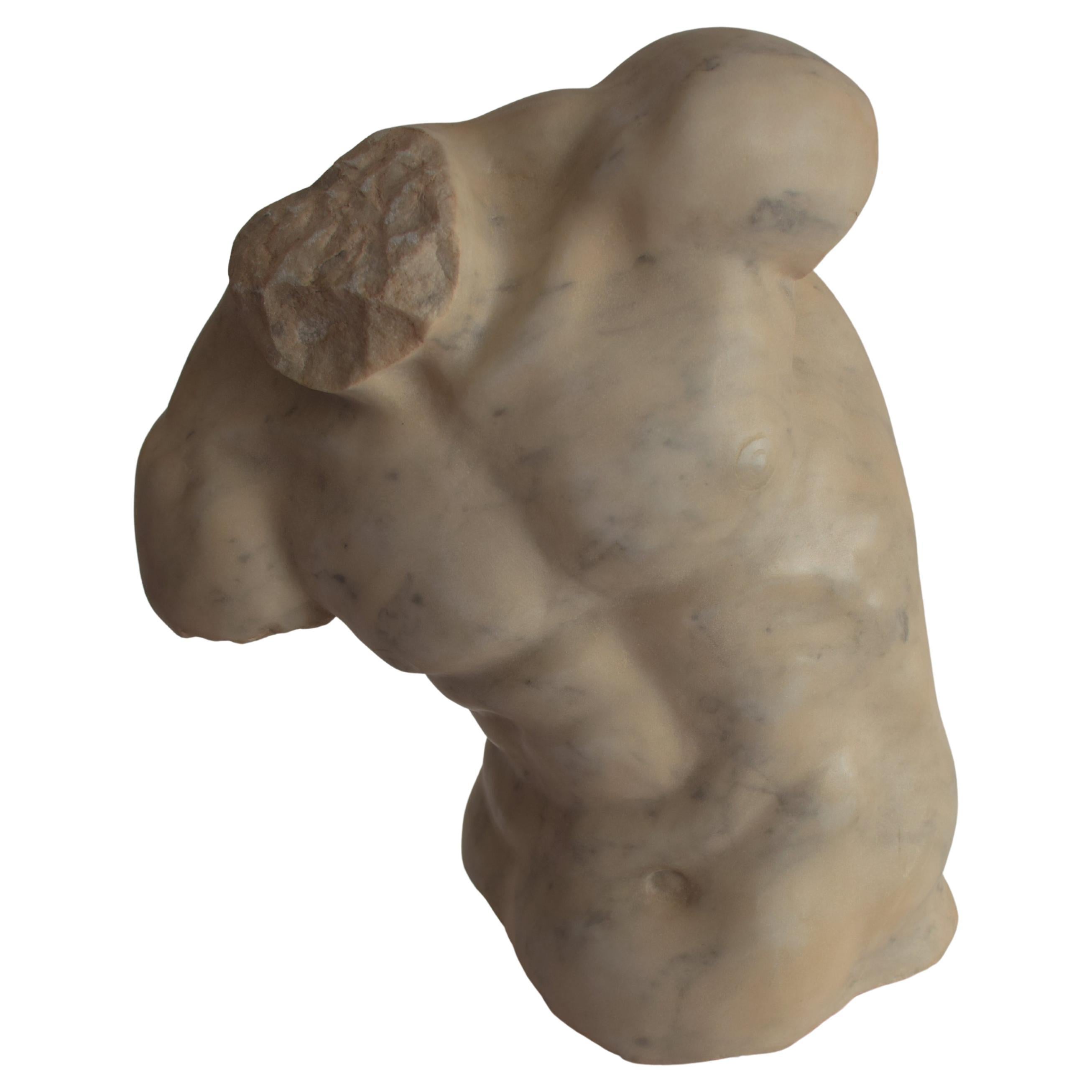 Male torso "Torso Gaddi" carved on white Carrara marble - made in Italy