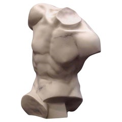 Torso of Apollo Marble Bust Sculpture, 20th Century