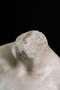 Torse de Vénus, 137 cm