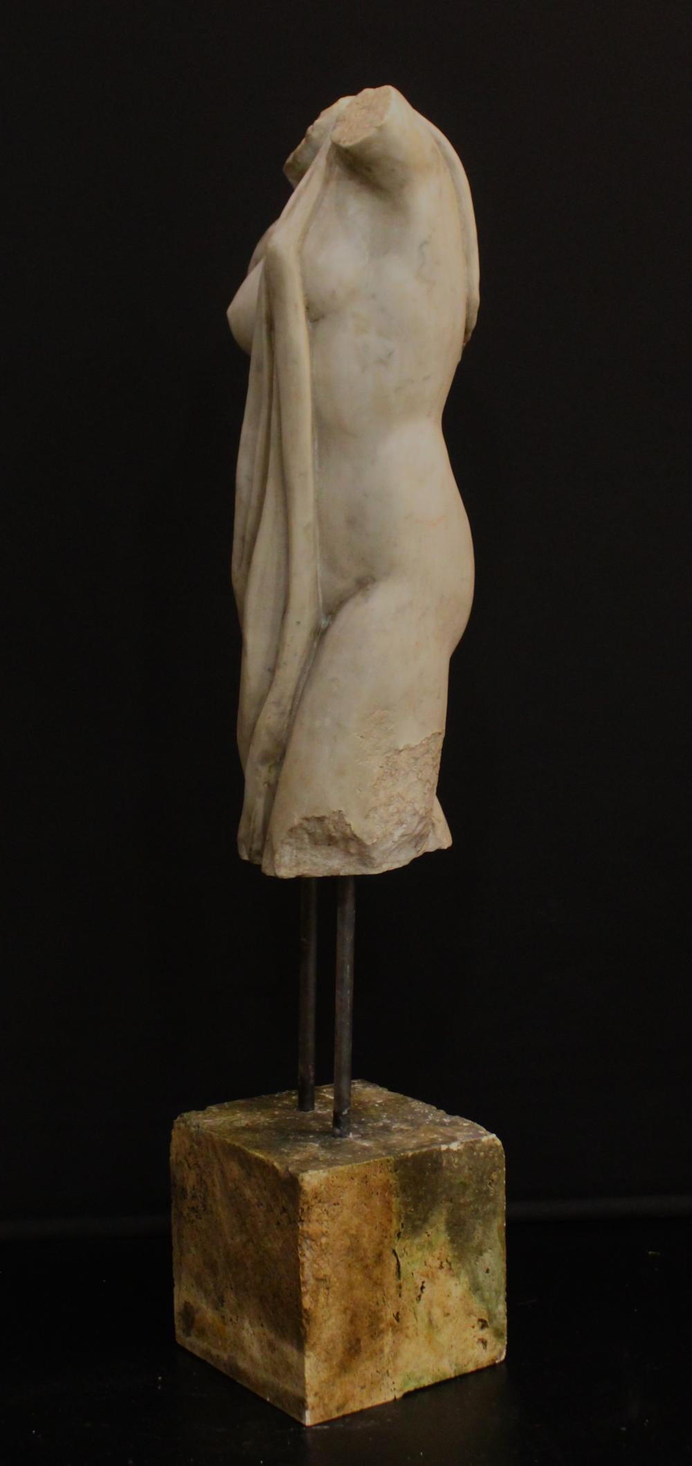 Italiano Torso di Venere in vendita