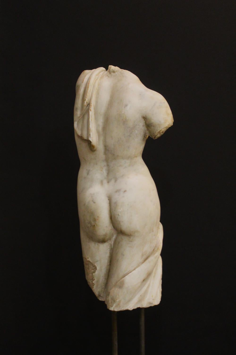 XX secolo Torso di Venere in vendita