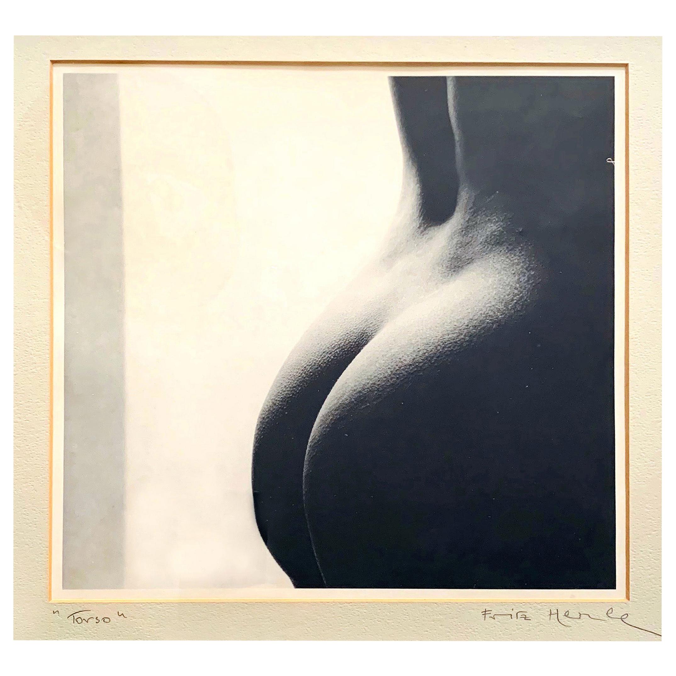 "Torso":: rare photographie originale avec une figure nue de Fritz Henle:: années 1950