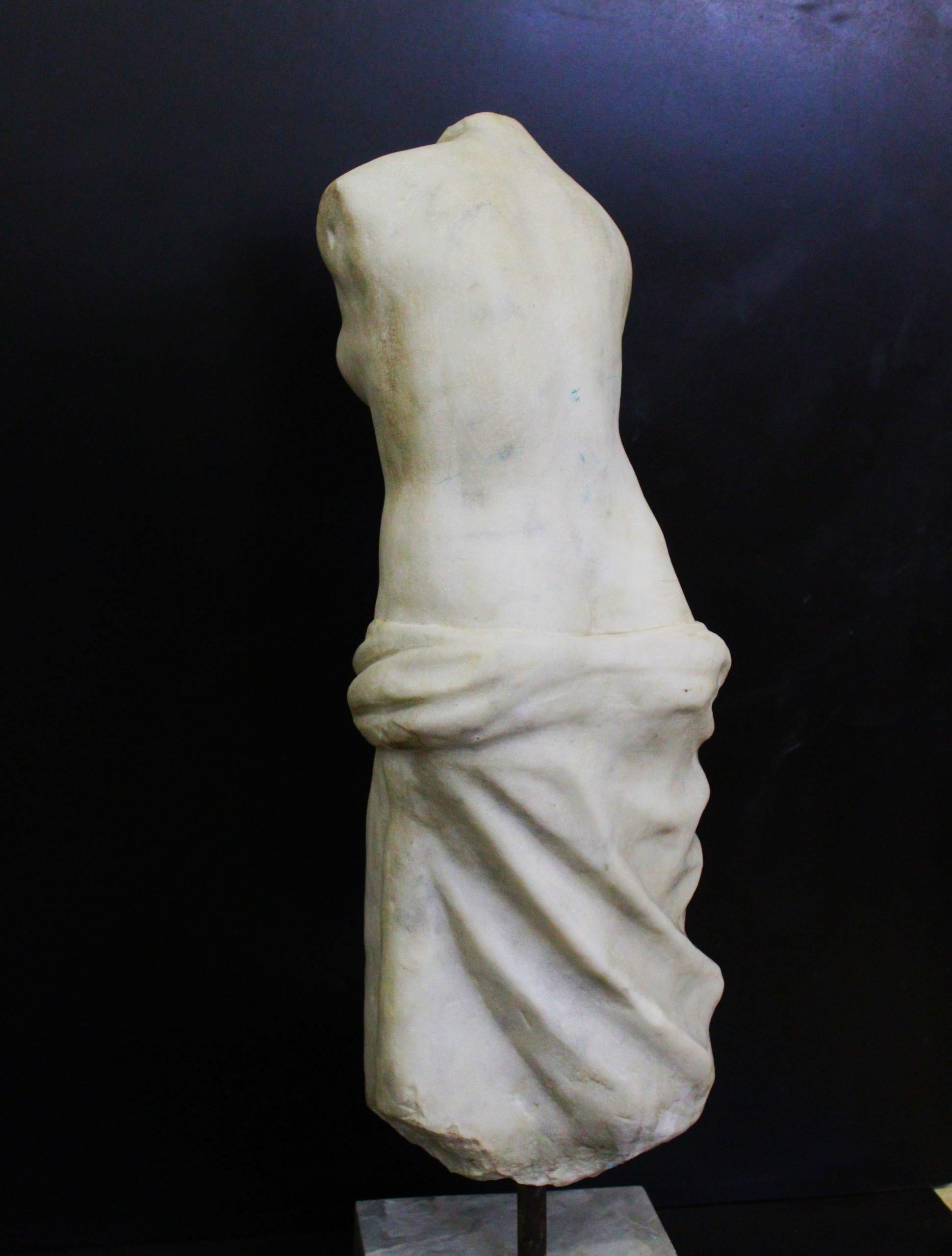 Venus torso sculpture in white Carrara marble, Bust in Carrara marble, sculpture in marble Scultura di torso di Venere in marmo bianco Carrara