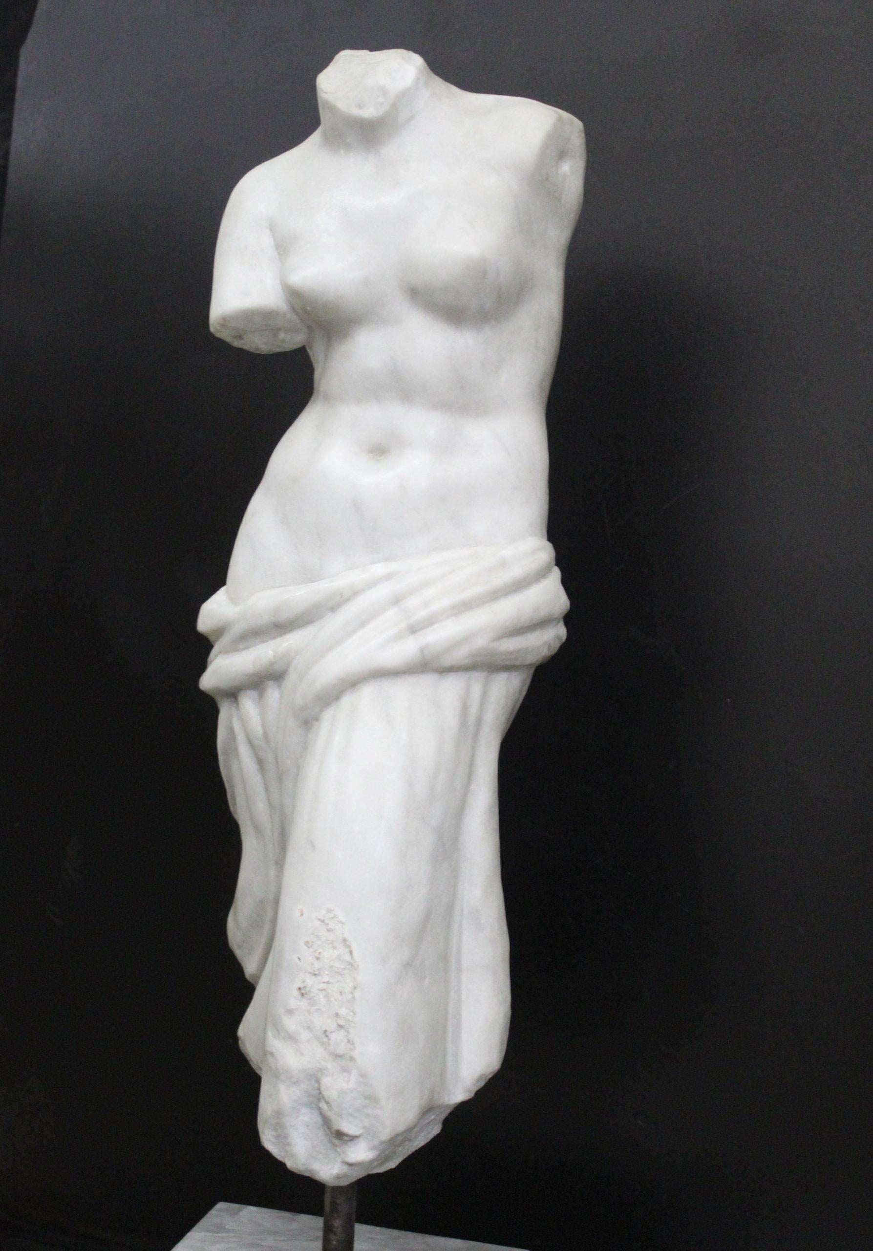 Unknown Torso sculpture of Venus, Bust in Carrara marble, sculpture in marble