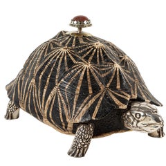 Tortoise Box by Anthony Redmile