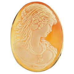 Tortoise Cameo Pendant Pin of Sincere Beauty 18 Karat Yellow Gold MV Carved