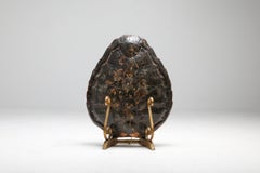 Tortoise Lamp on Gilt Mount, 1940s