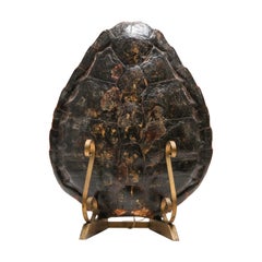 Tortoise Lamp on Gilt Mount, 1940s