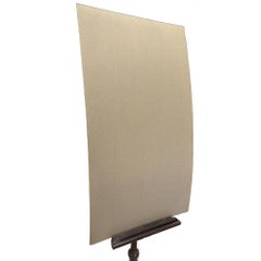 Tortoise & Pleated Shell Limpets Print Naturalists Miscellany by Shaw and Nodder