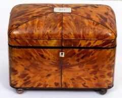Tortoise Shell 19th Century English Tea Caddy with Brass Feet