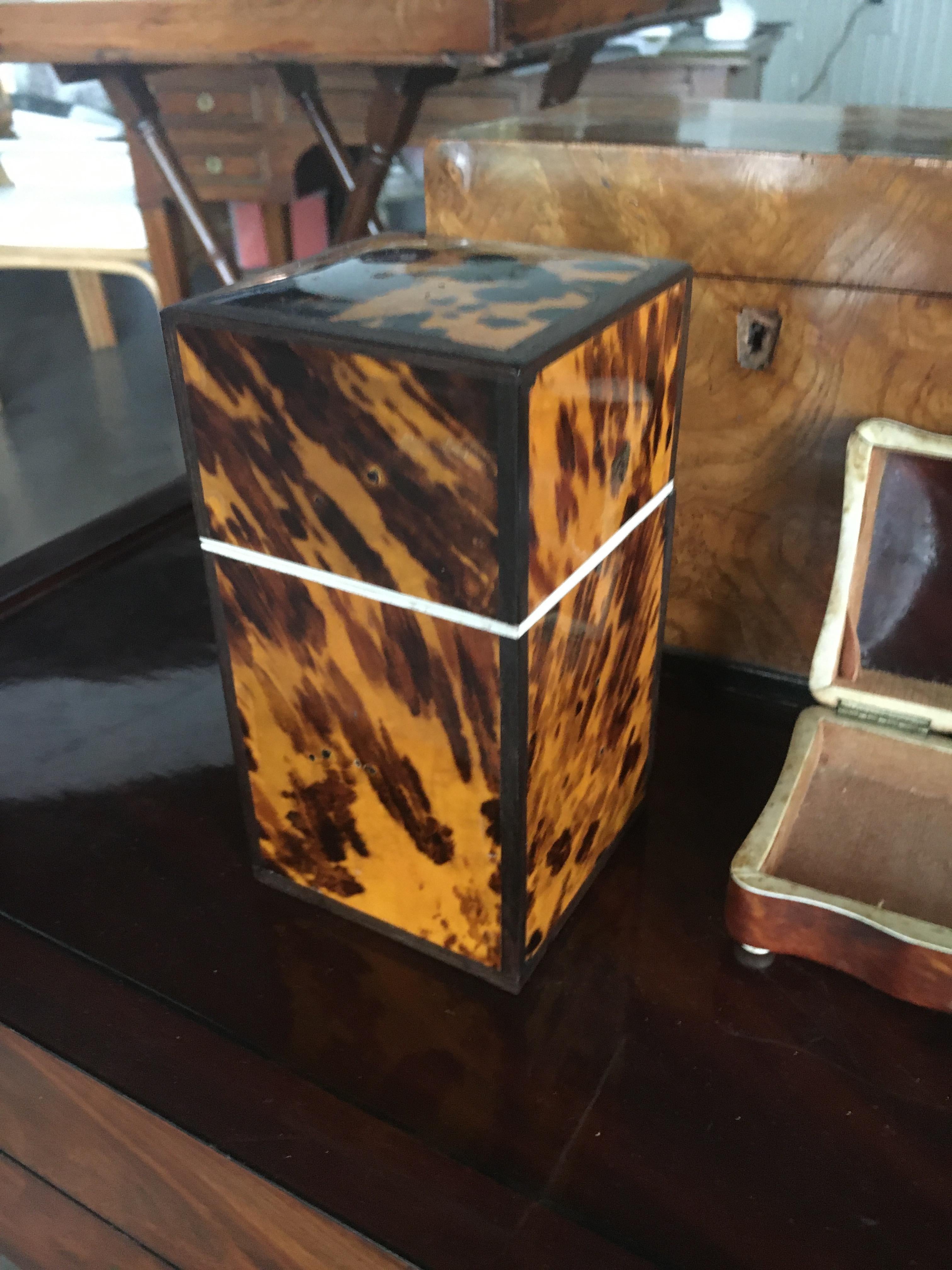 Tortoise Shell Decorative Box with Paw Feet. Tortoise Shell With Bun Feet. For Sale 1