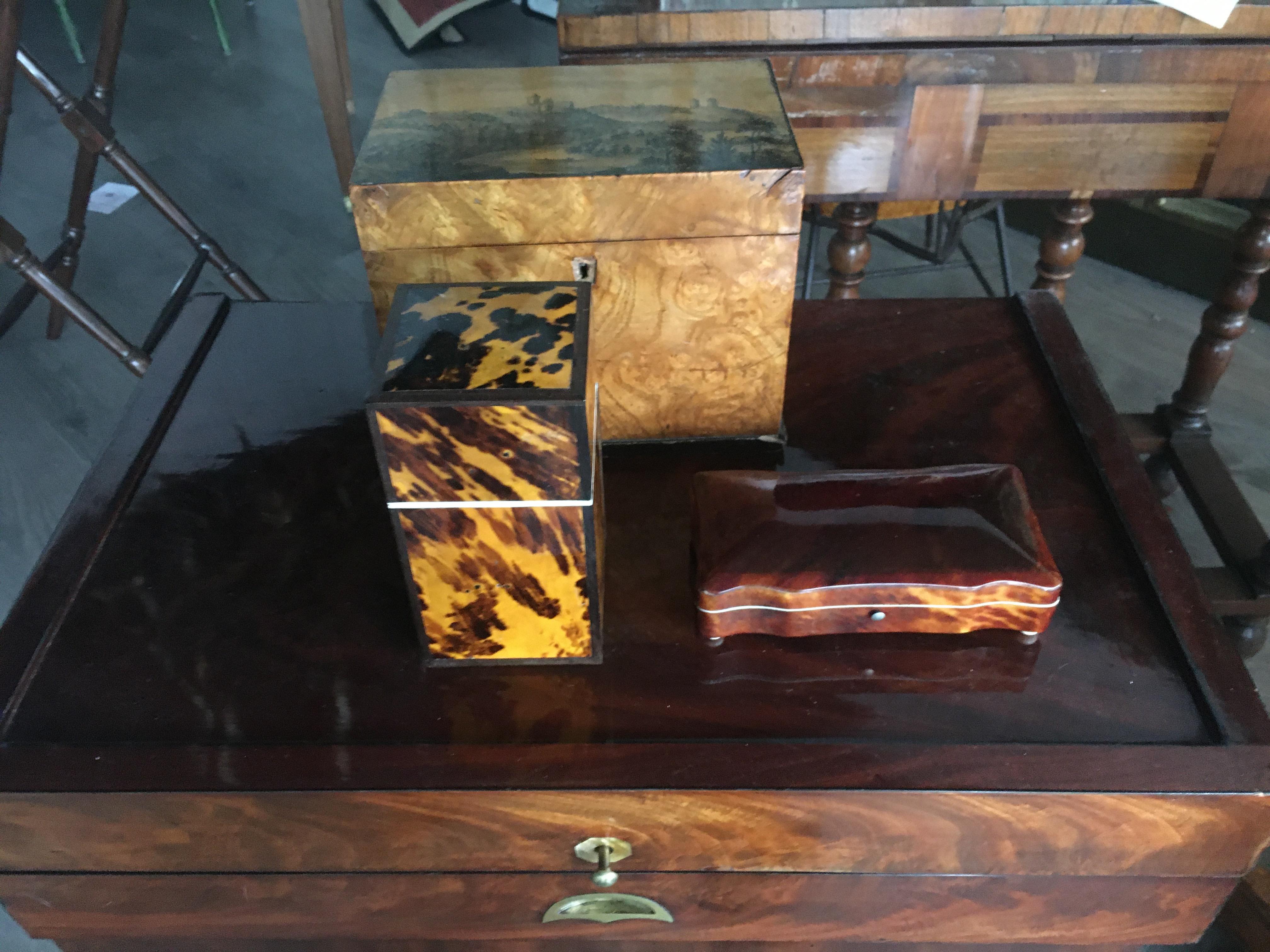 Tortoise Shell Decorative Box with Paw Feet. Tortoise Shell With Bun Feet. In Excellent Condition For Sale In Buchanan, MI