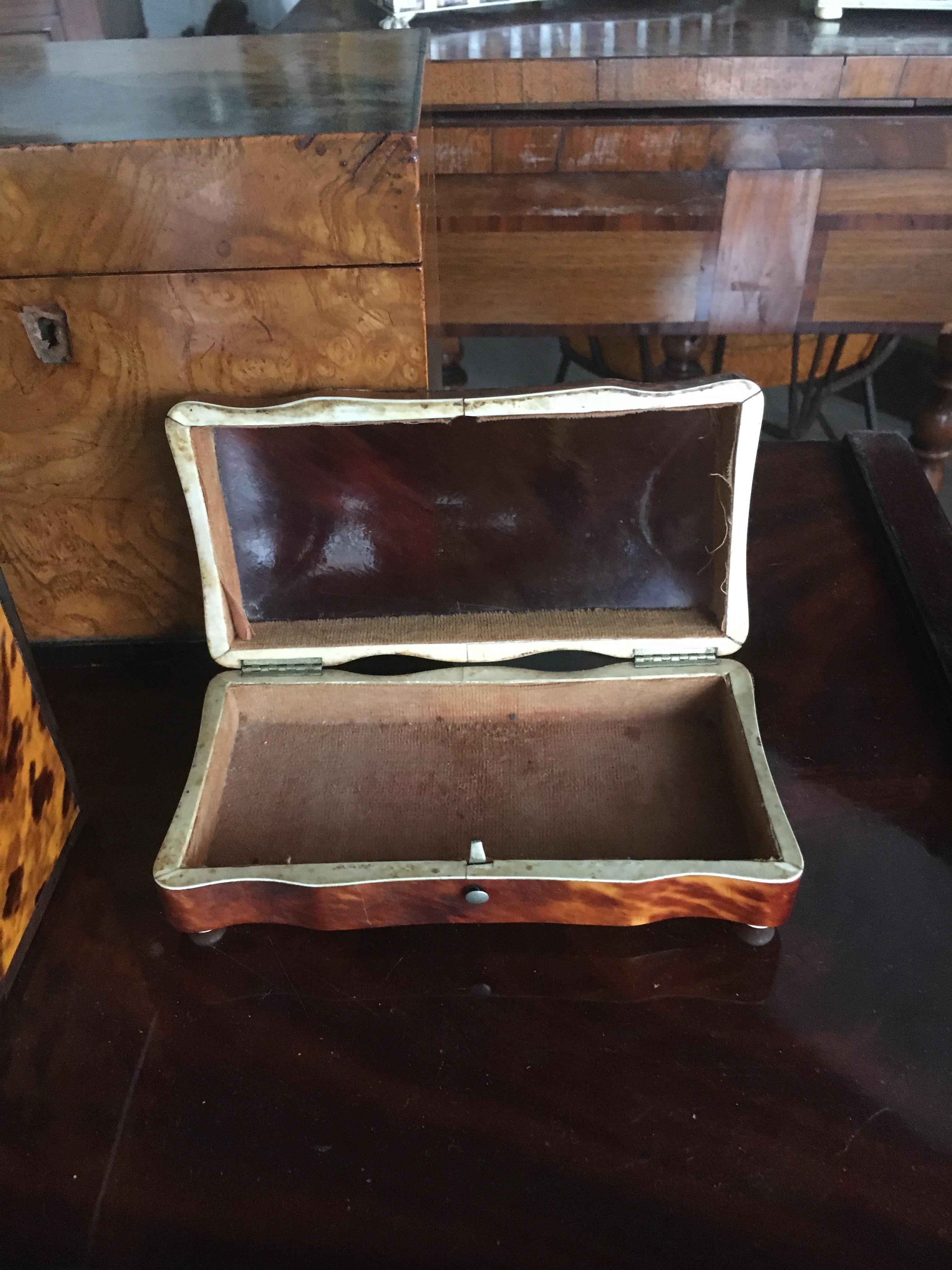 19th Century Tortoise Shell Decorative Box with Paw Feet. Tortoise Shell With Bun Feet. For Sale