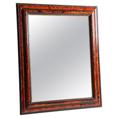 Tortoise Shell mirror ripple frame
