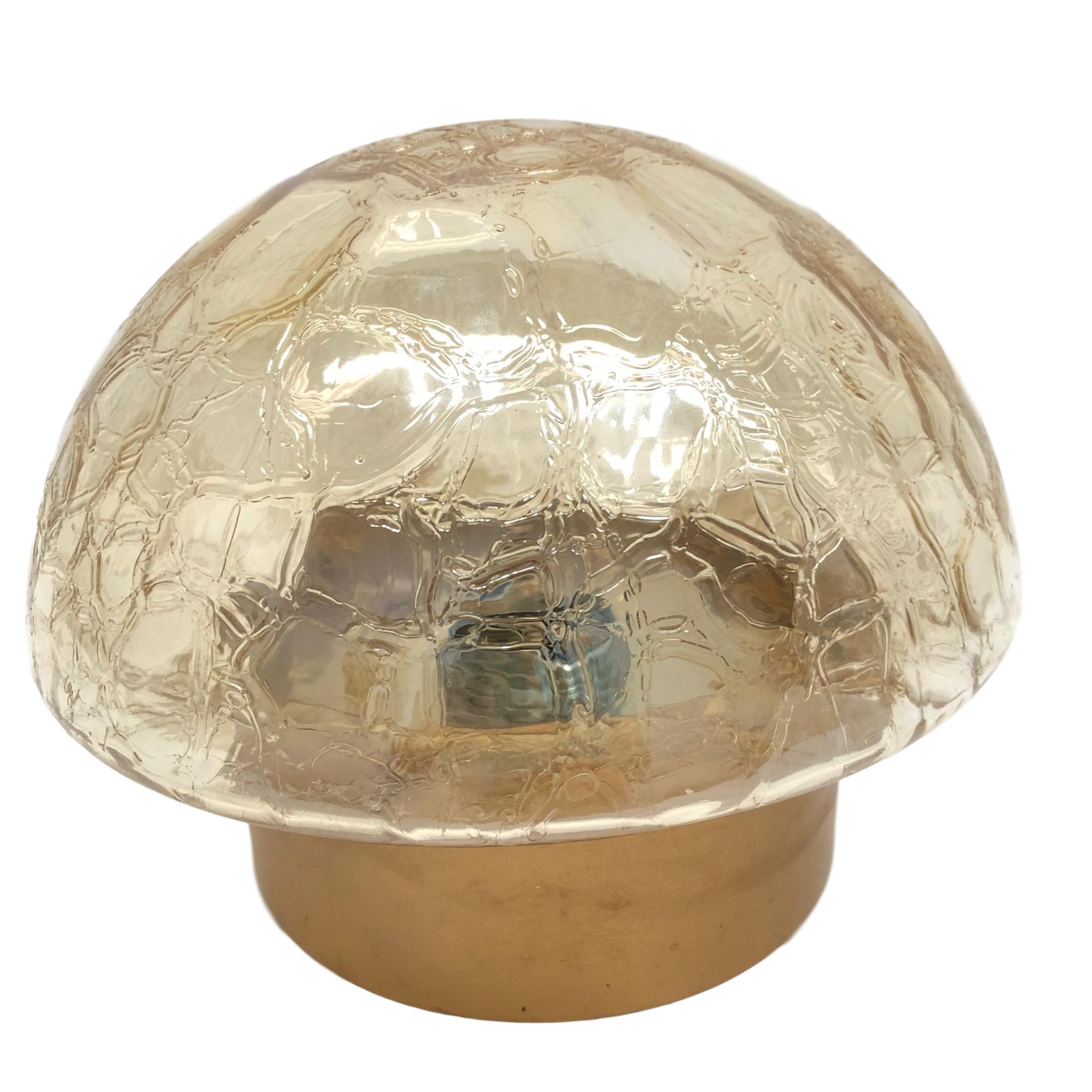 A beautiful flush mount manufactured by RZB Leuchten. A circa 1960s, German tortoiseshell amber glass flush mount or sconce. The fixture requires one European E27 Edison bulb, up to 75 watts.