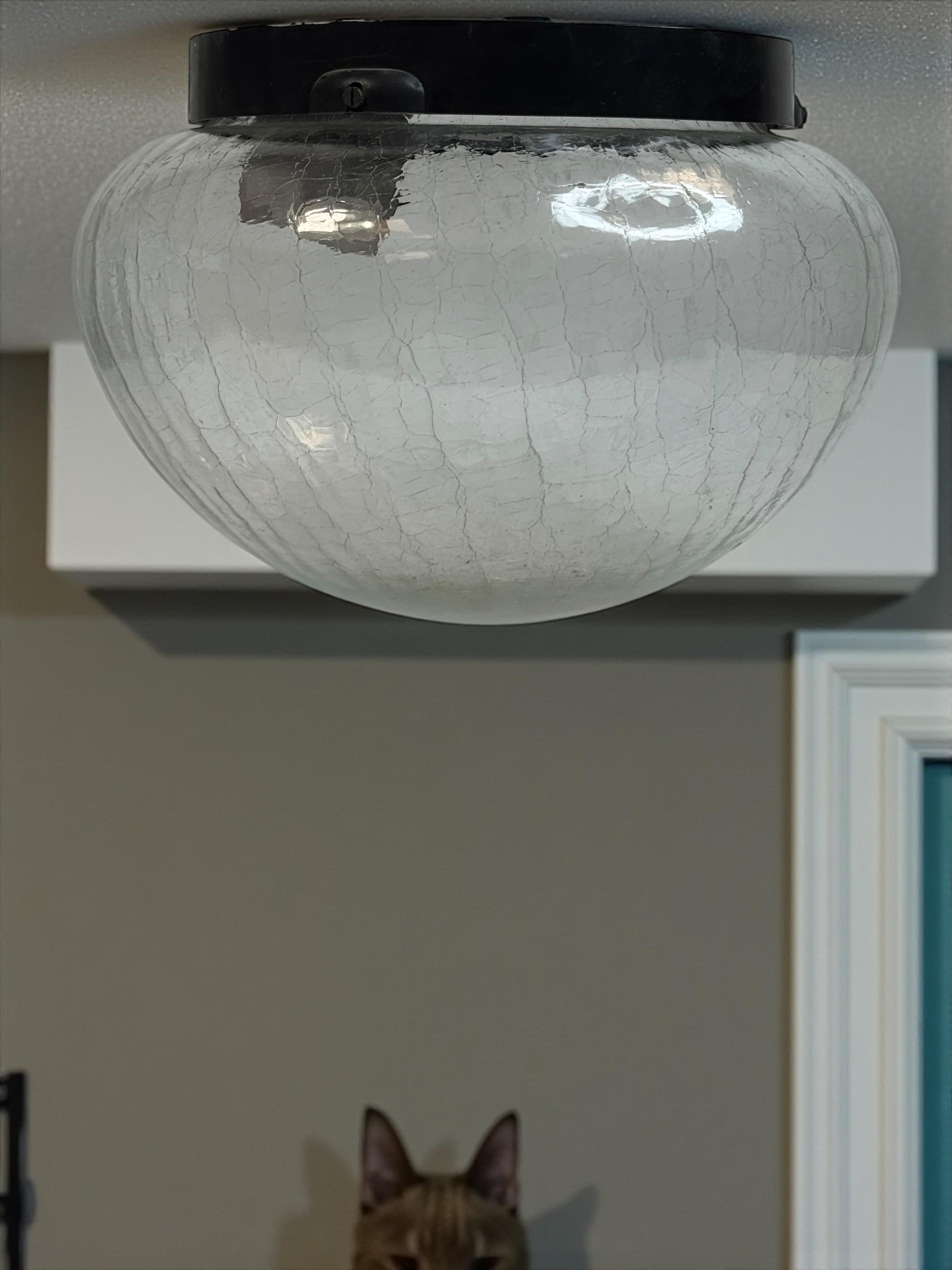 Tortoise Shell Pattern Clear Glass Flush Mount Vintage Austria 1960s For Sale 8