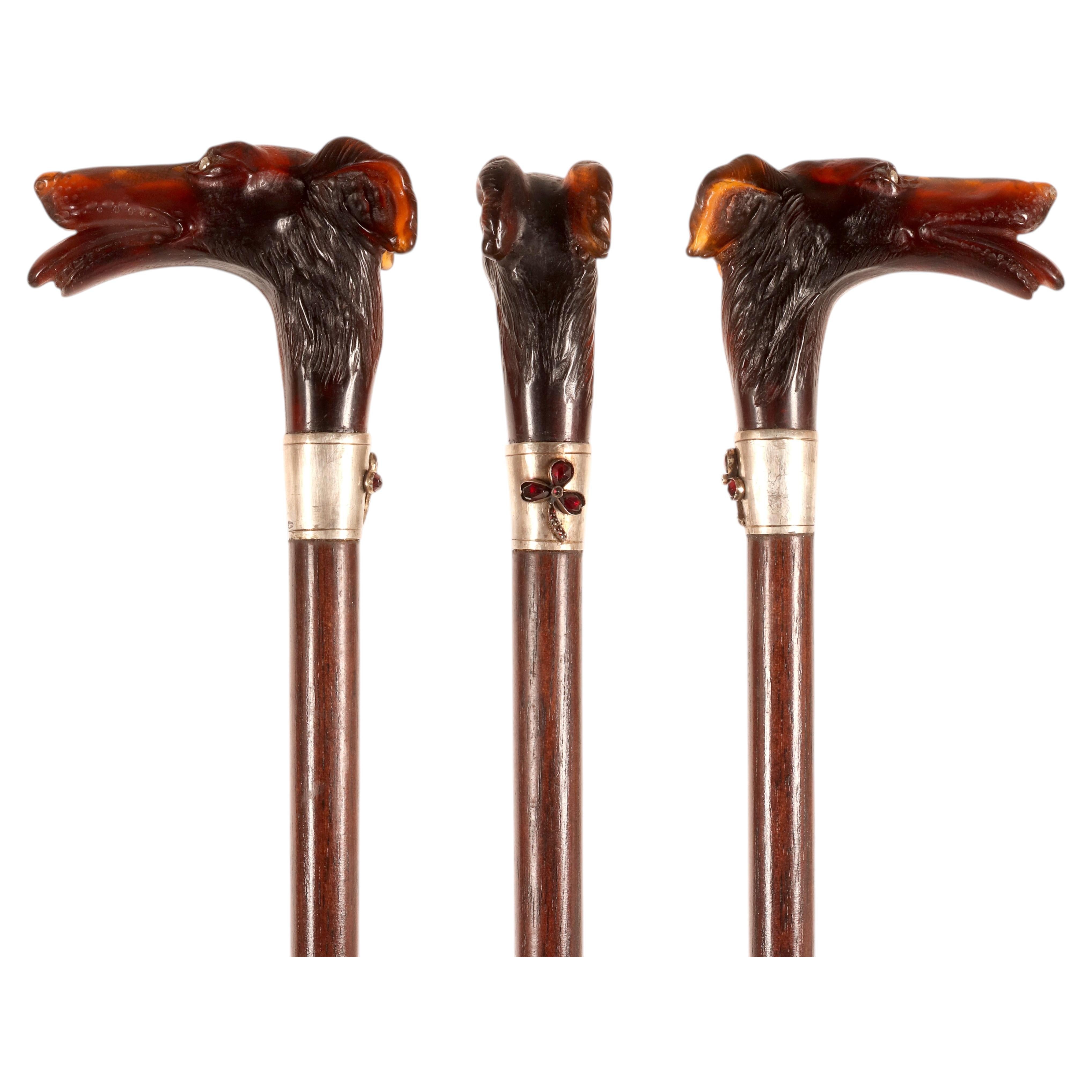 Tortoiseshell walking stick with greyhound head, Vienna, Austria, 1900. For Sale
