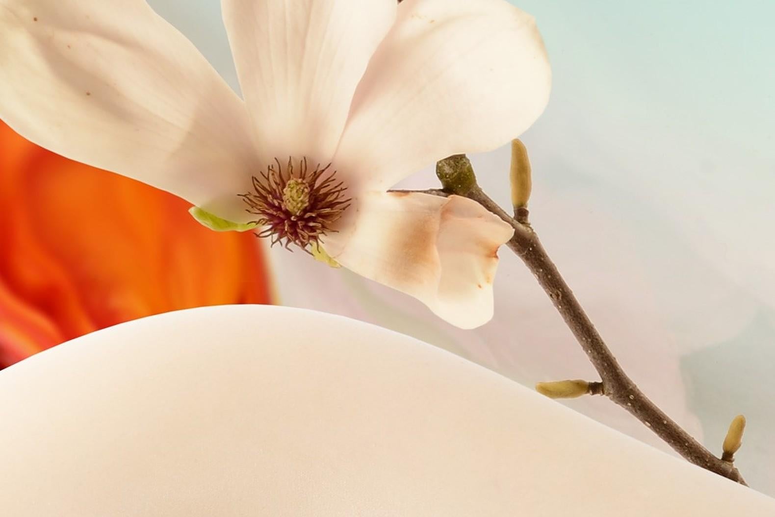 Flora 02 est un vibrant tirage numérique C-Type dans une édition de 15 dans ce format par le duo de photographes contemporains Tortora &... 
Travezan.

Toutes les impressions sont produites sur commande. 
Délais de livraison entre 5 et 10