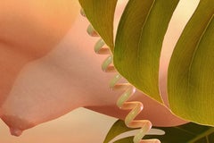 Galatea 4 - Tom Wesselmann Inspired Pop Art Nude Photographic Print Pygmalion