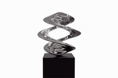 Torus Spiralis Polished Stainless Steel Abstract Sculpture
